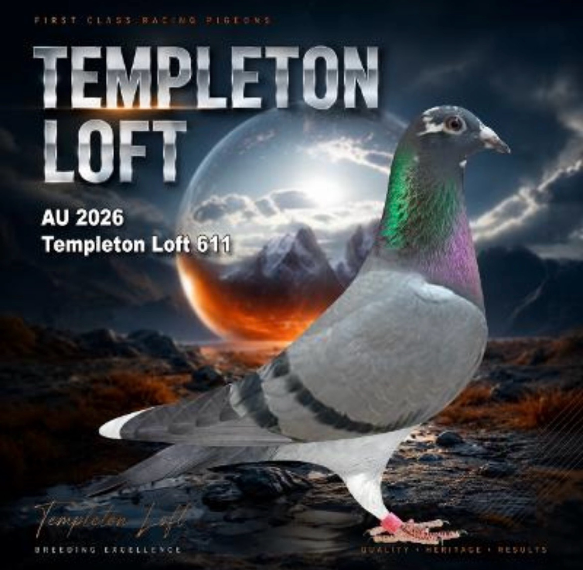Templeton loft 2026/611