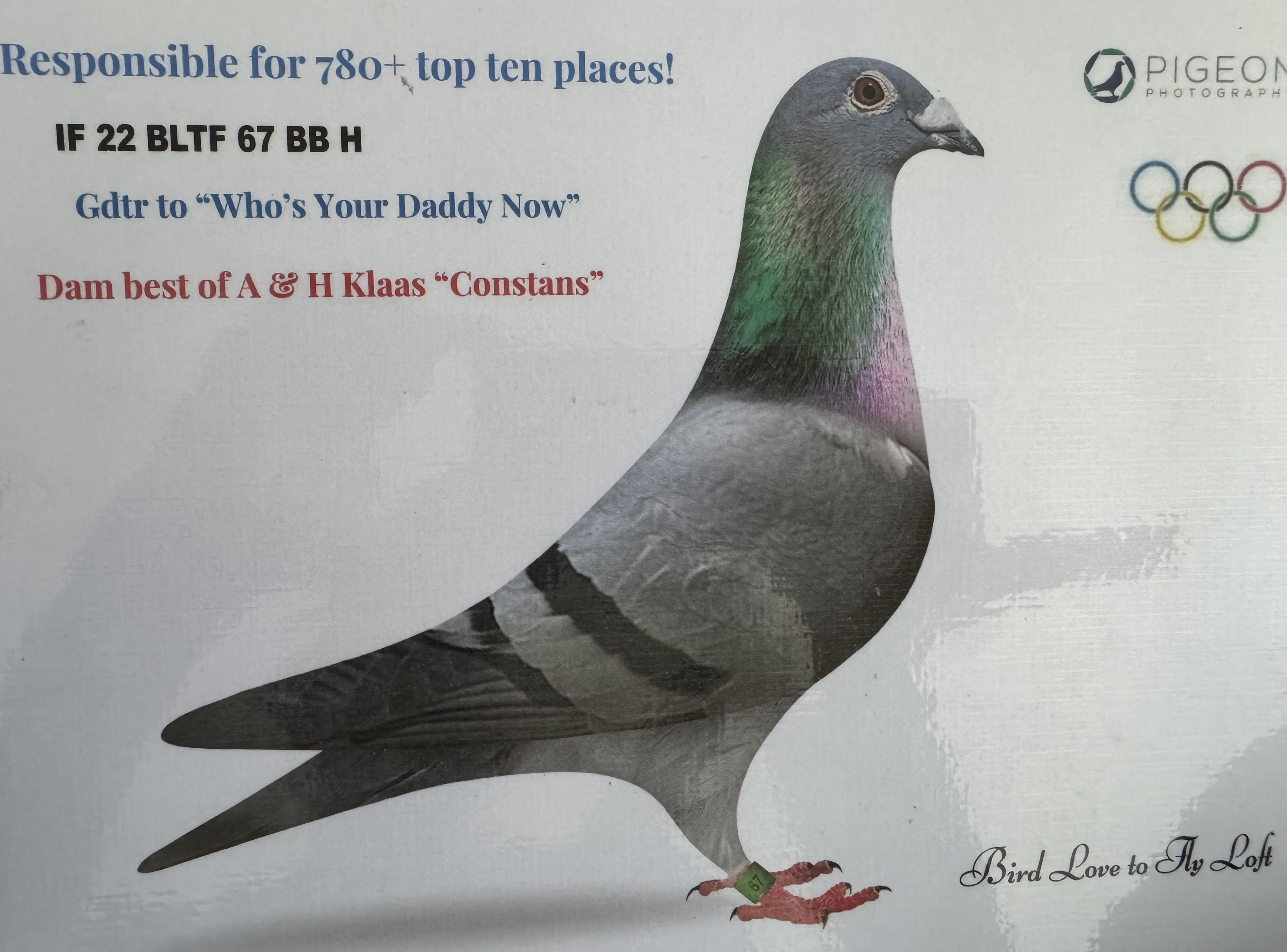 IF22 BLTF 67 BB HEN 