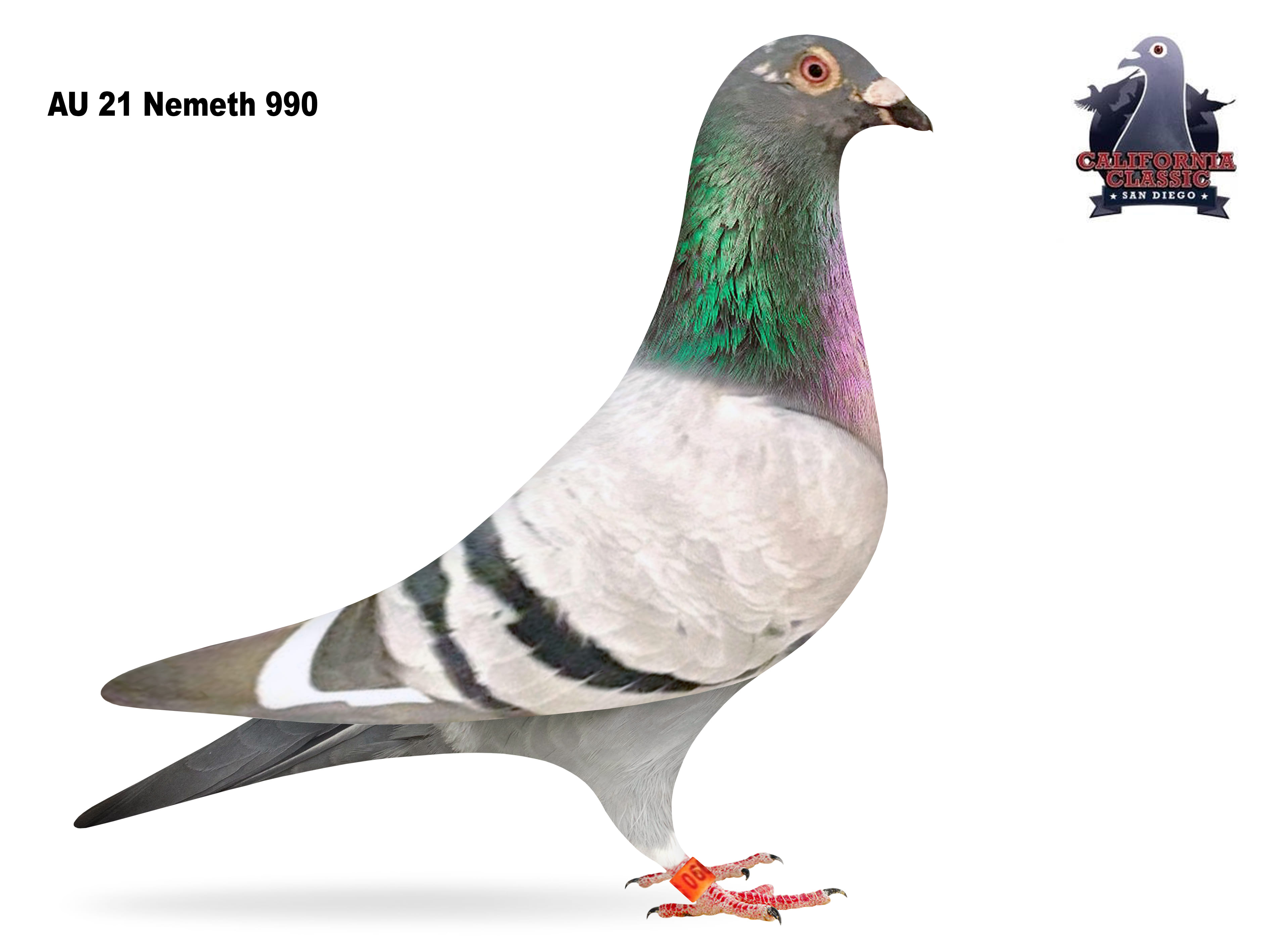 Lot 44. 2021 Nemeth 990 Cock