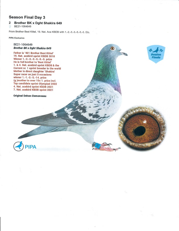 Preview Image 4