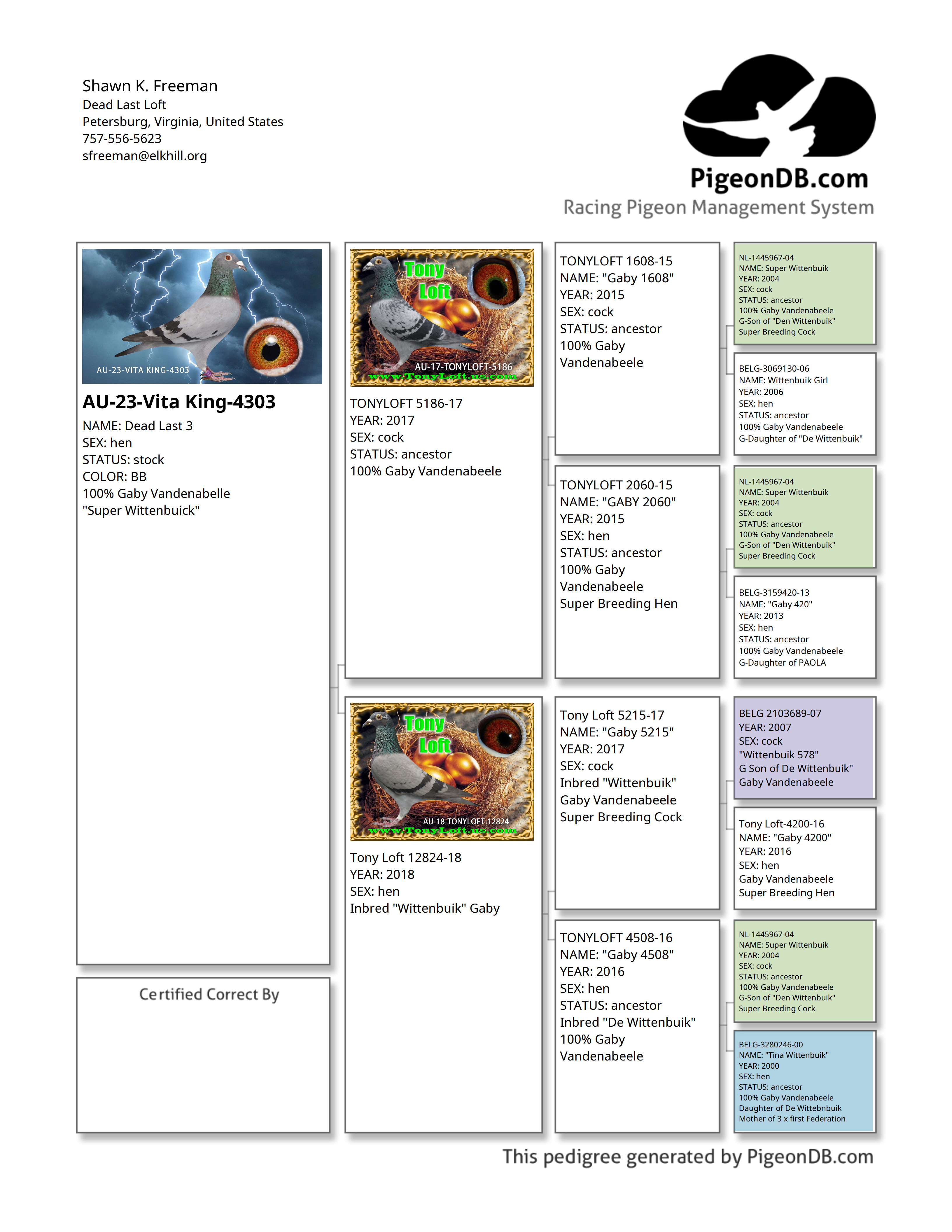 Preview Image 2