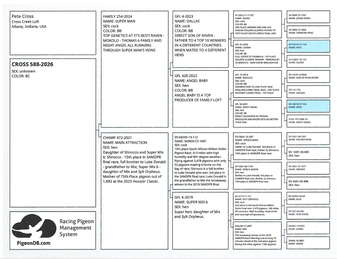 Preview Image 2