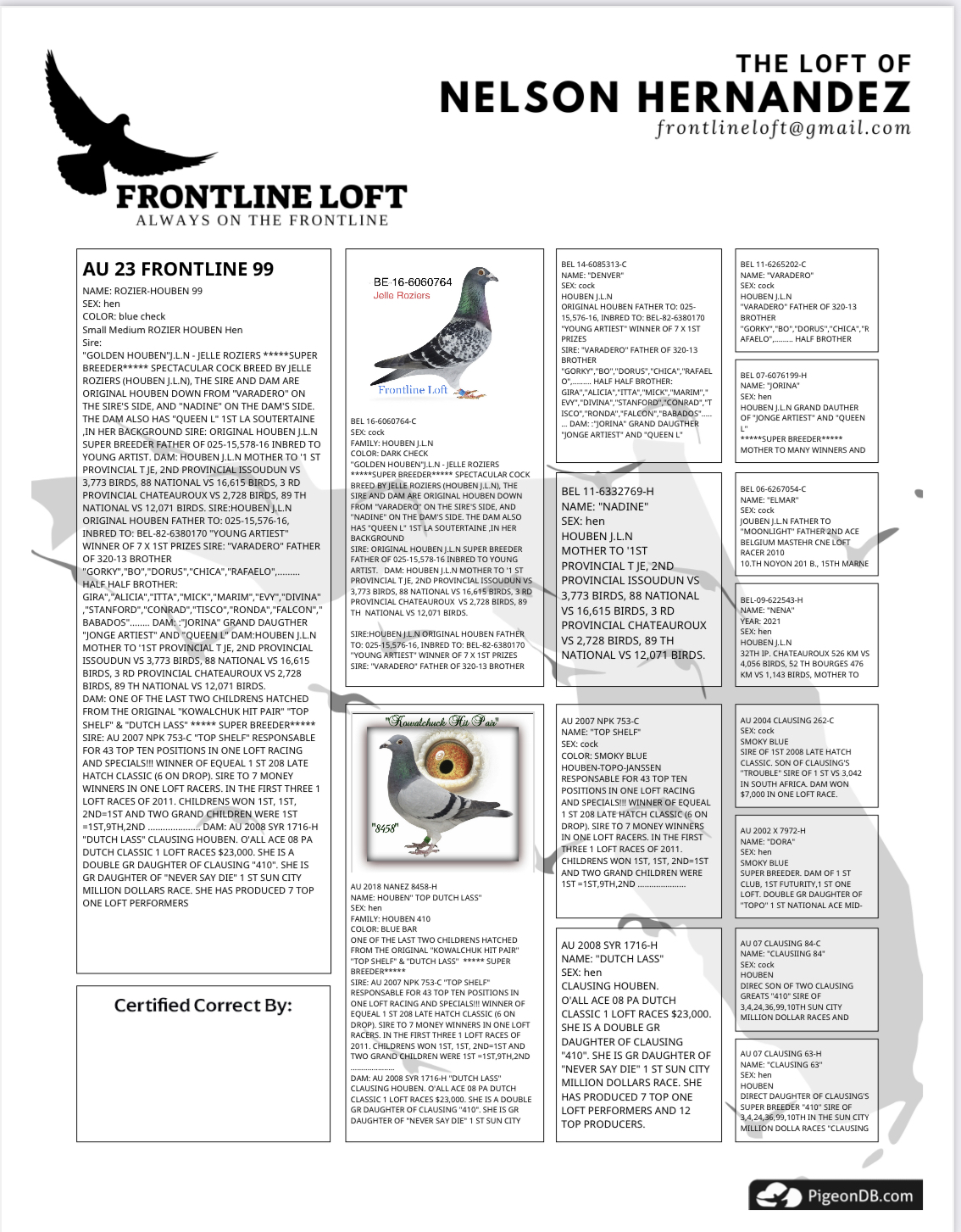 Ipigeon racing pigeon auction