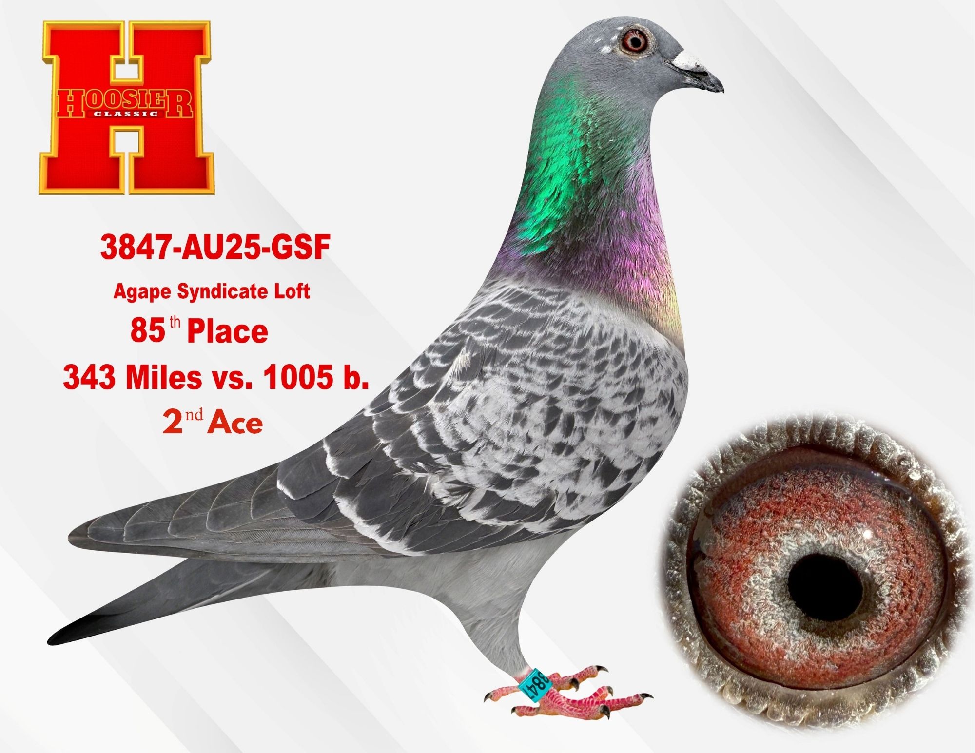 PRESTIGE LOFT ACQUIRES 2ND ACE HOOSIER