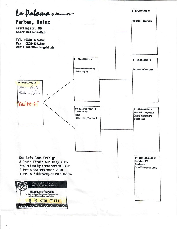 Preview Image 2
