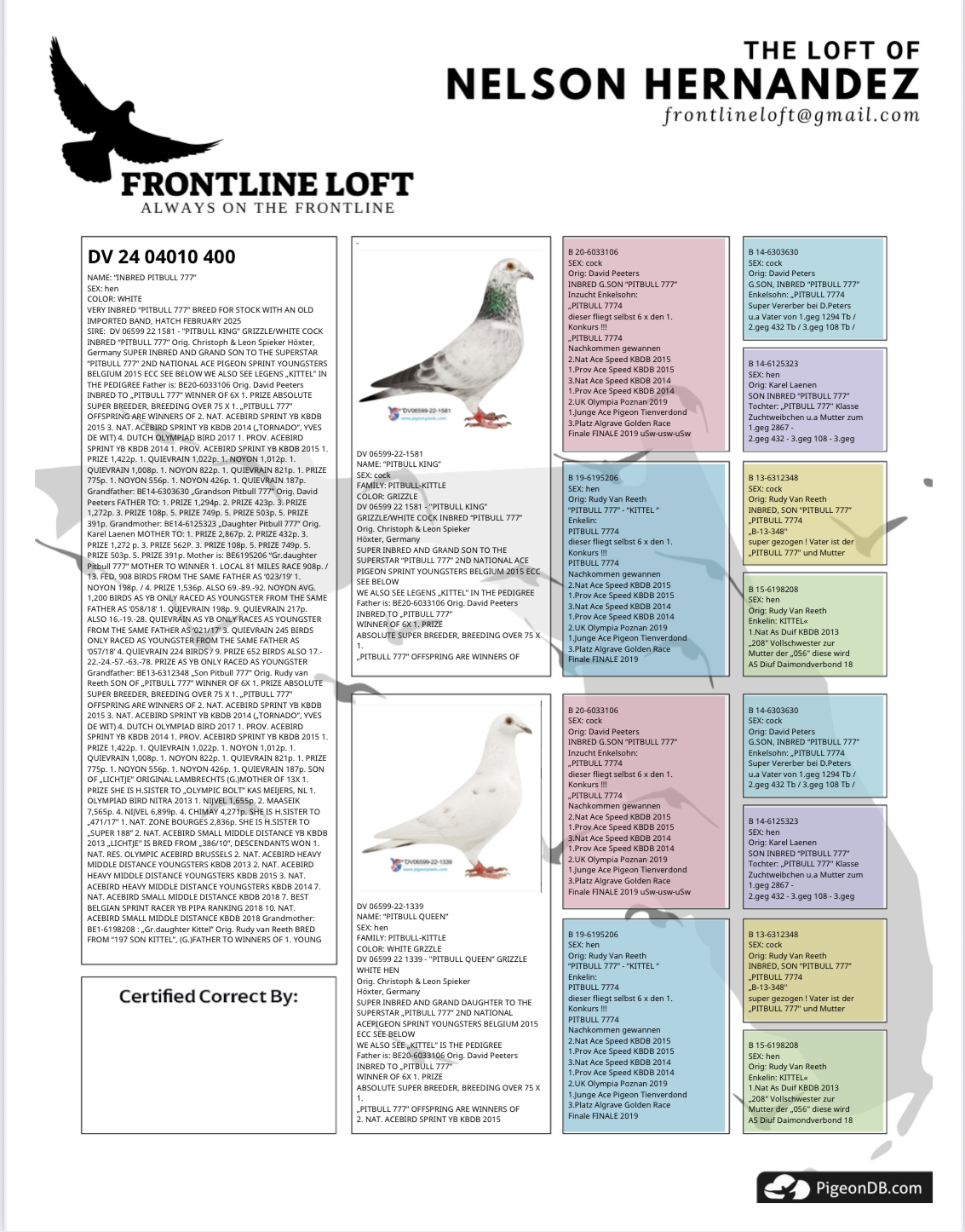 INBRED “PITBULL 777”