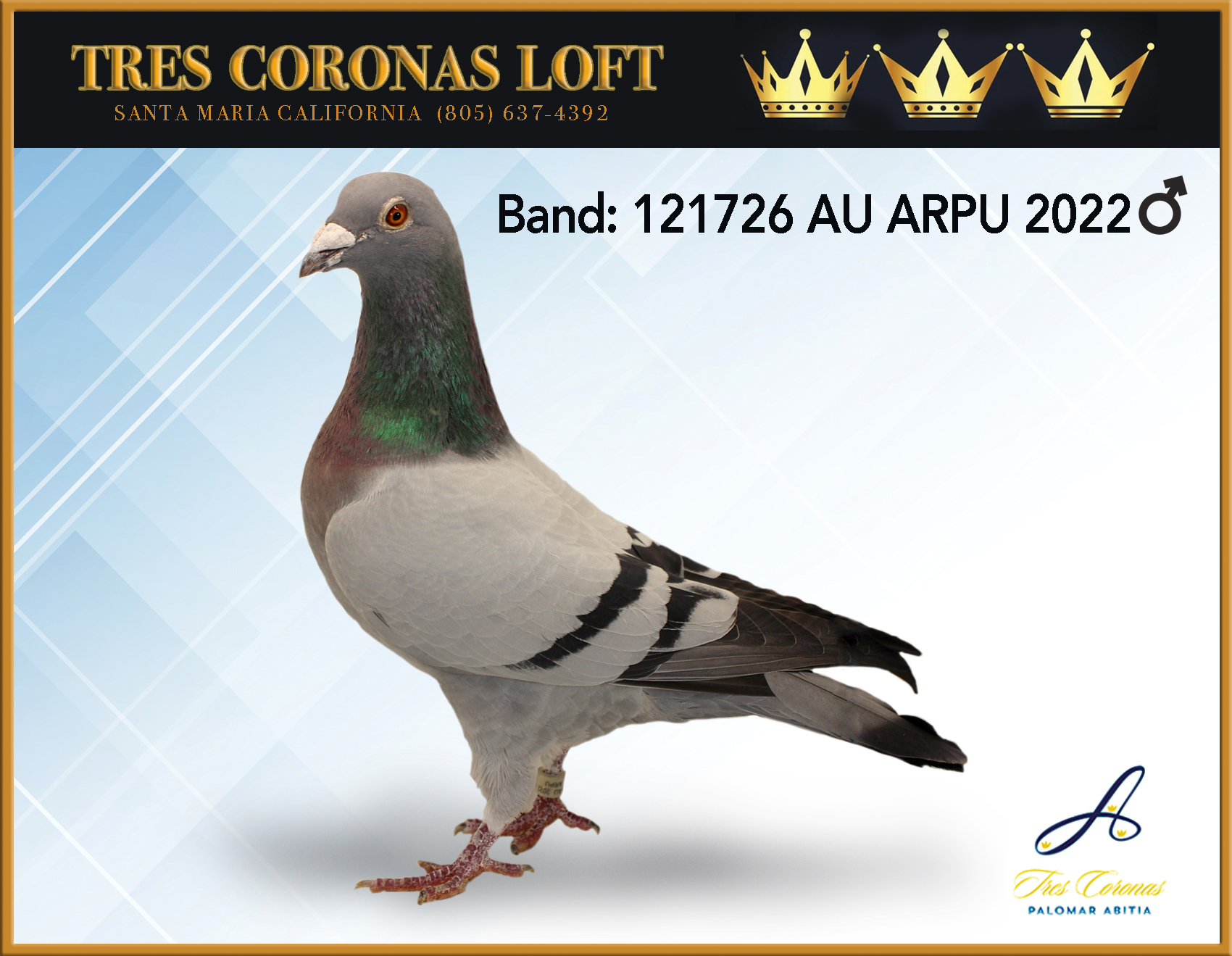VAN LOON DEVRIENT 121726 AU ARPU 2022 BB COCK
