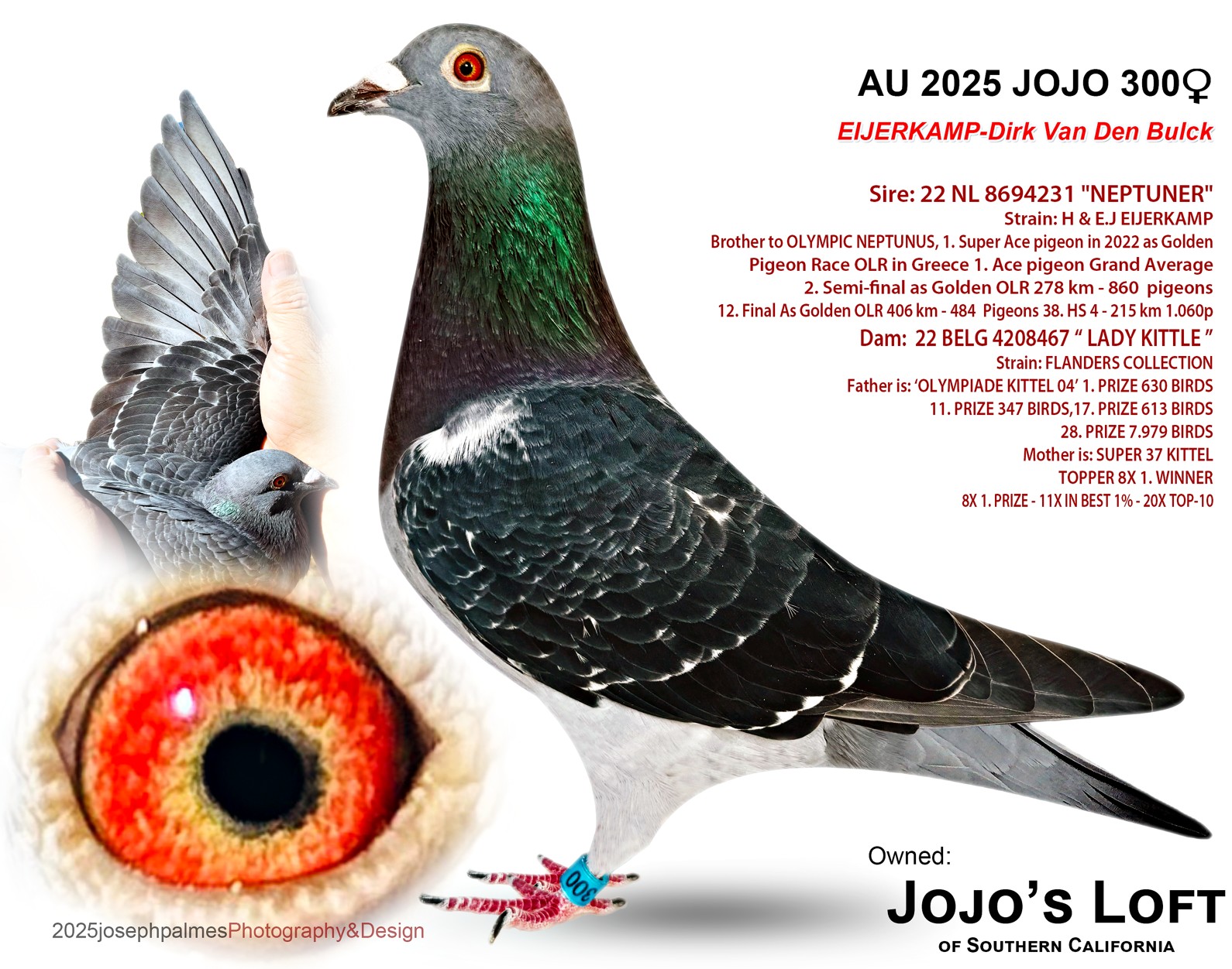 AU 2025 JOJO 300 DC H 