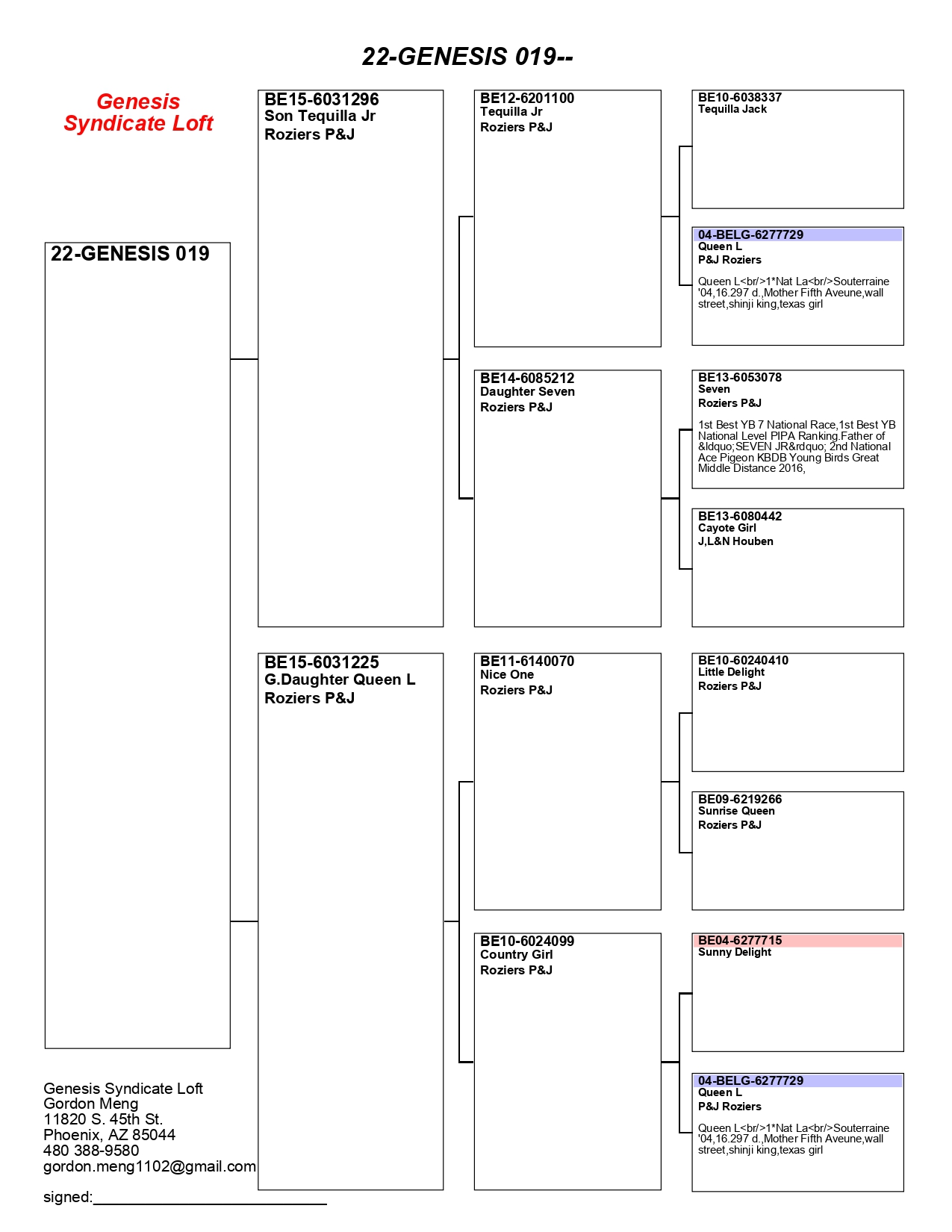 IPigeon Racing Pigeon Auction ipigeon-racing-pigeon-auction