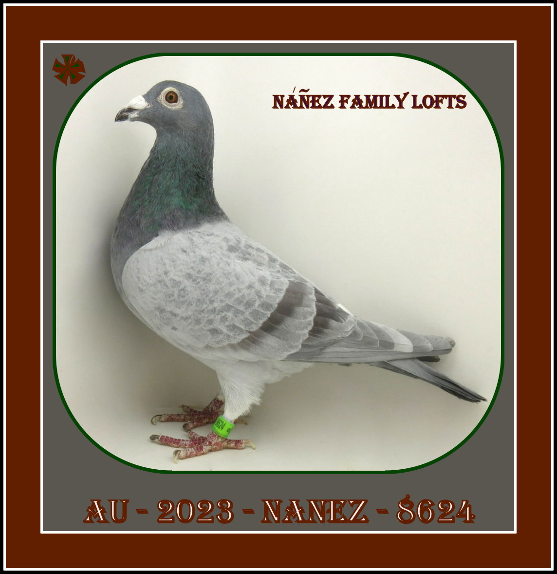 AU 2023 NANEZ 8624