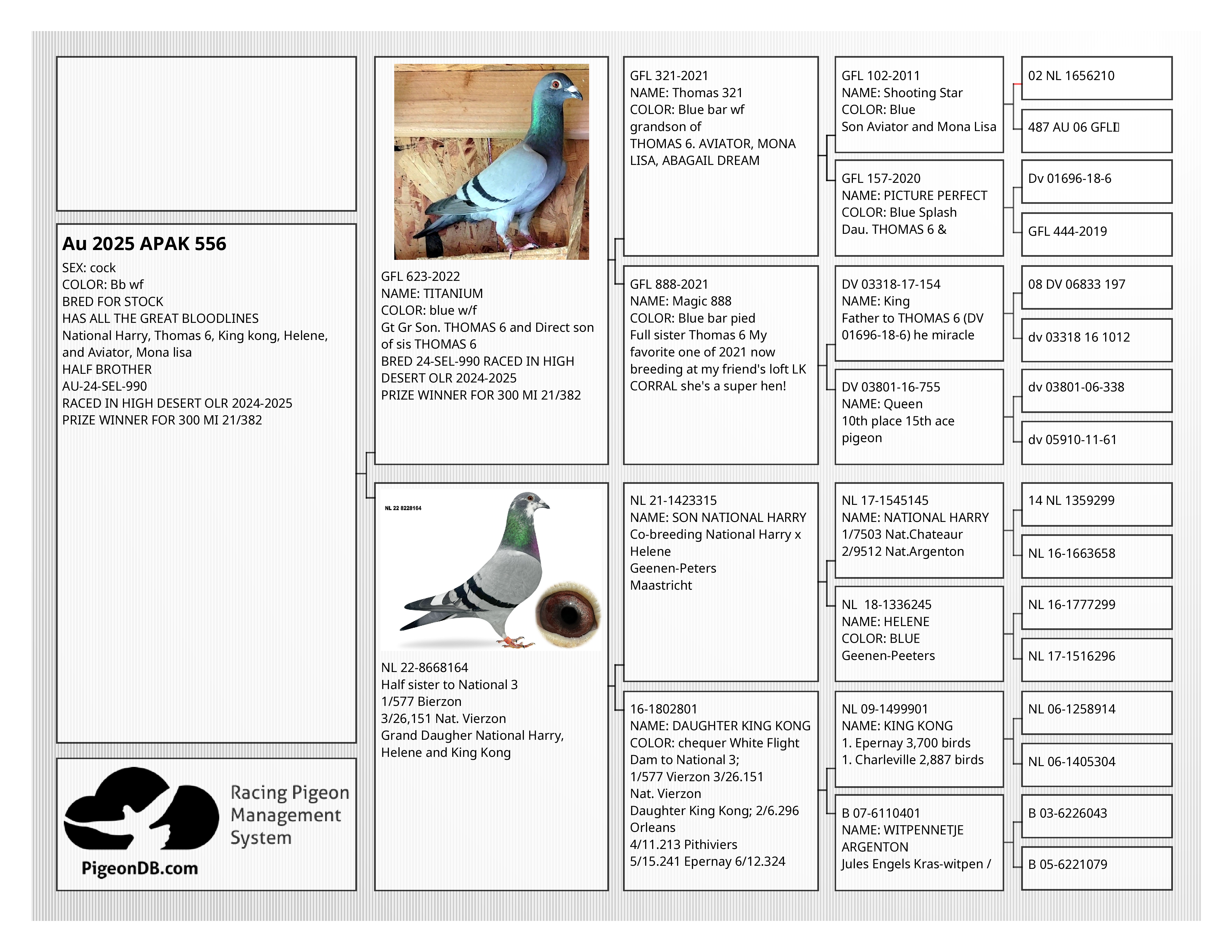 National Harry, Thomas 6, King kong, Helene, and Aviator, Mona lisa