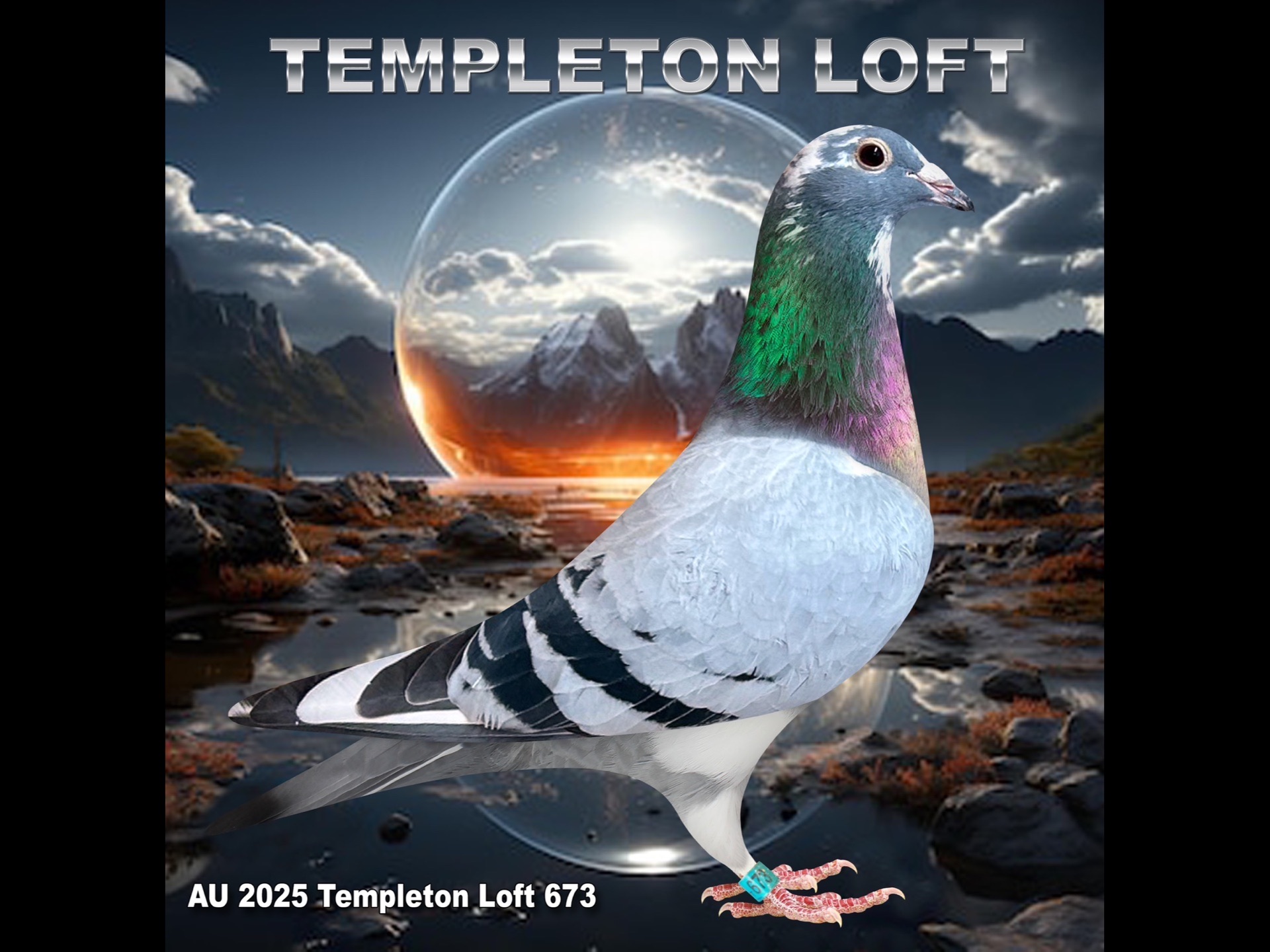 Templteon loft 2025/673