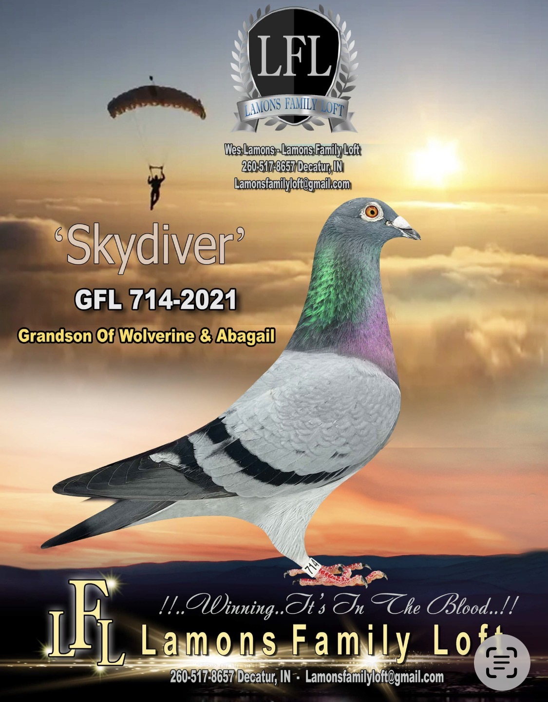 Blue cock GFL-714 -2021

Best of Ganus Family lofts  KW Victory Winner 