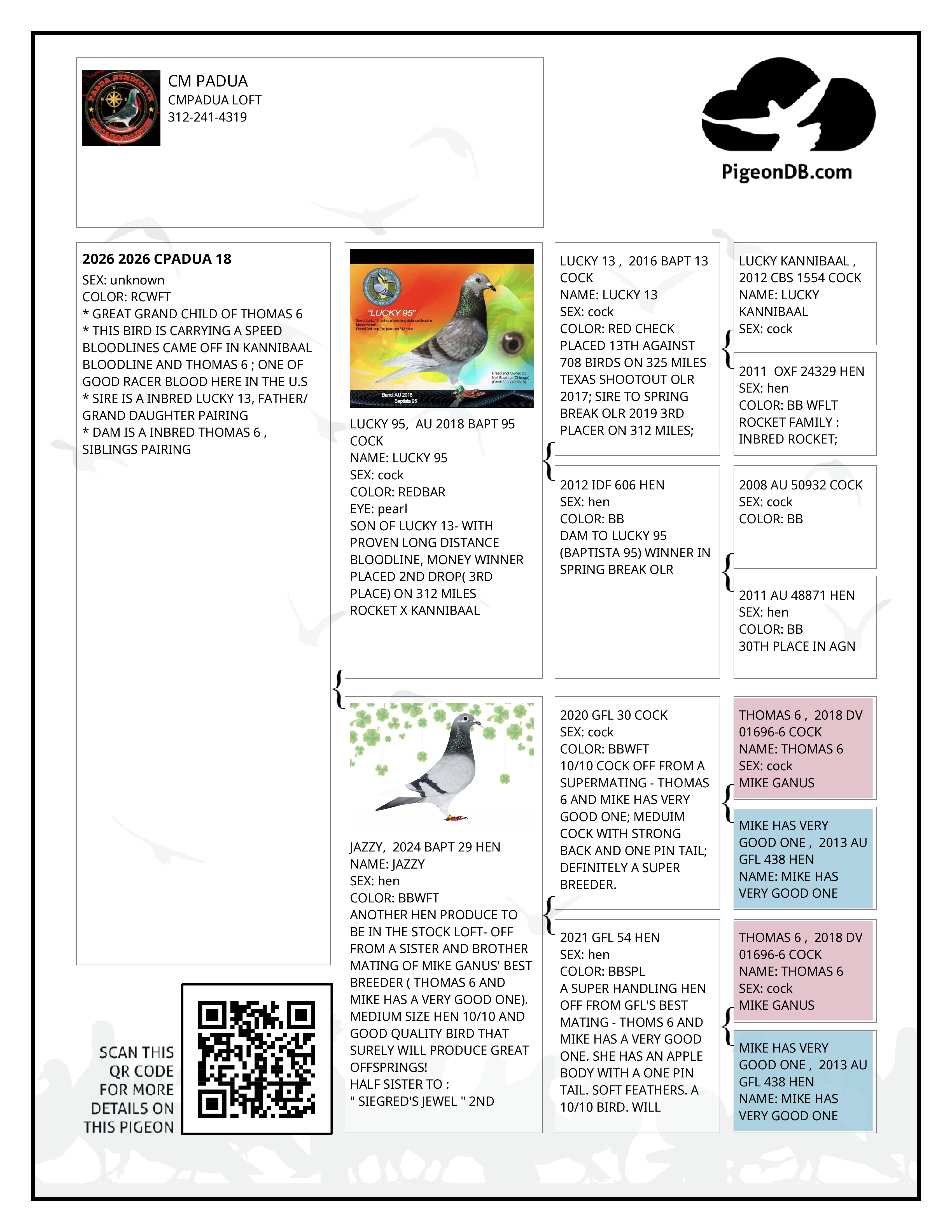 Preview Image 2