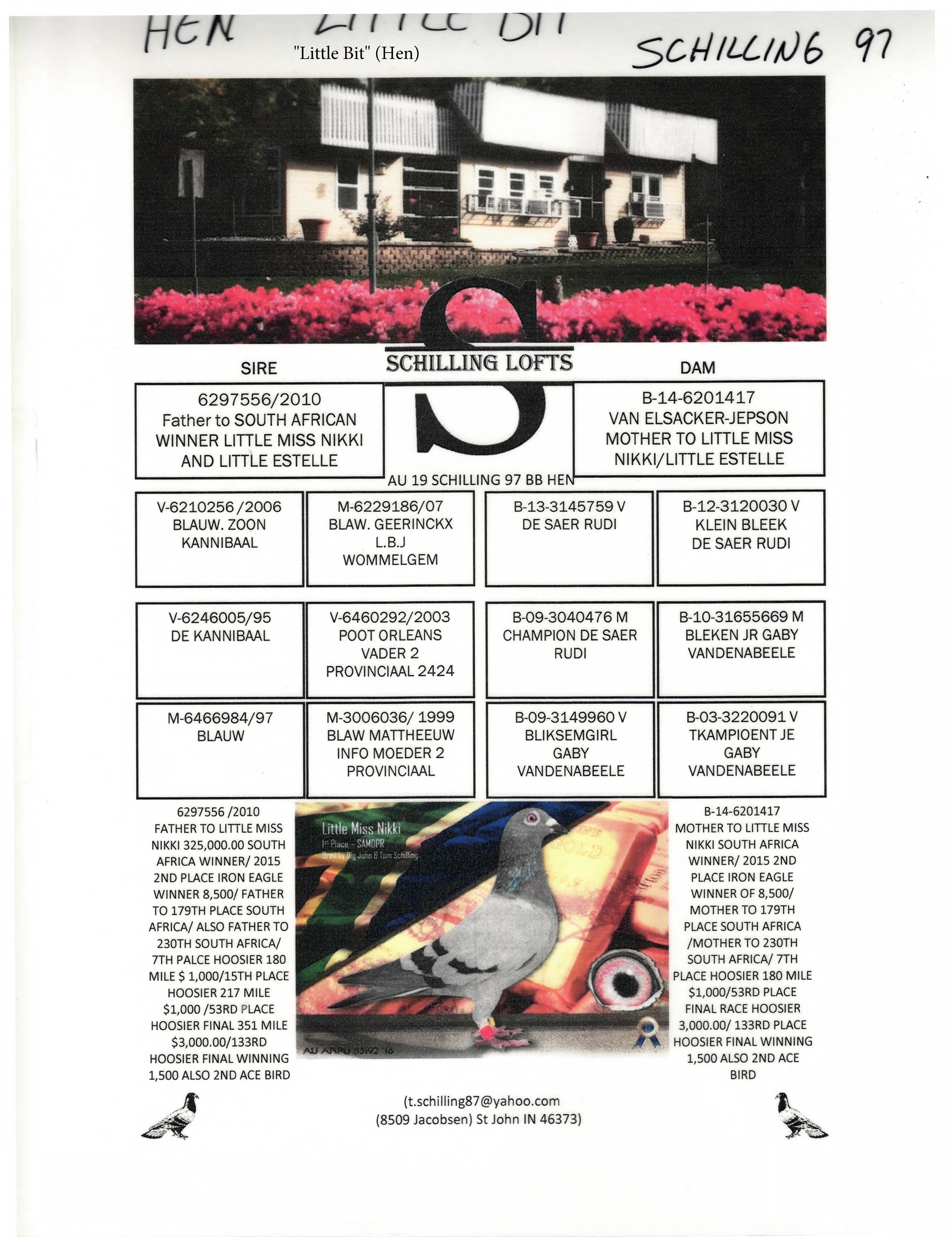 Preview Image 2