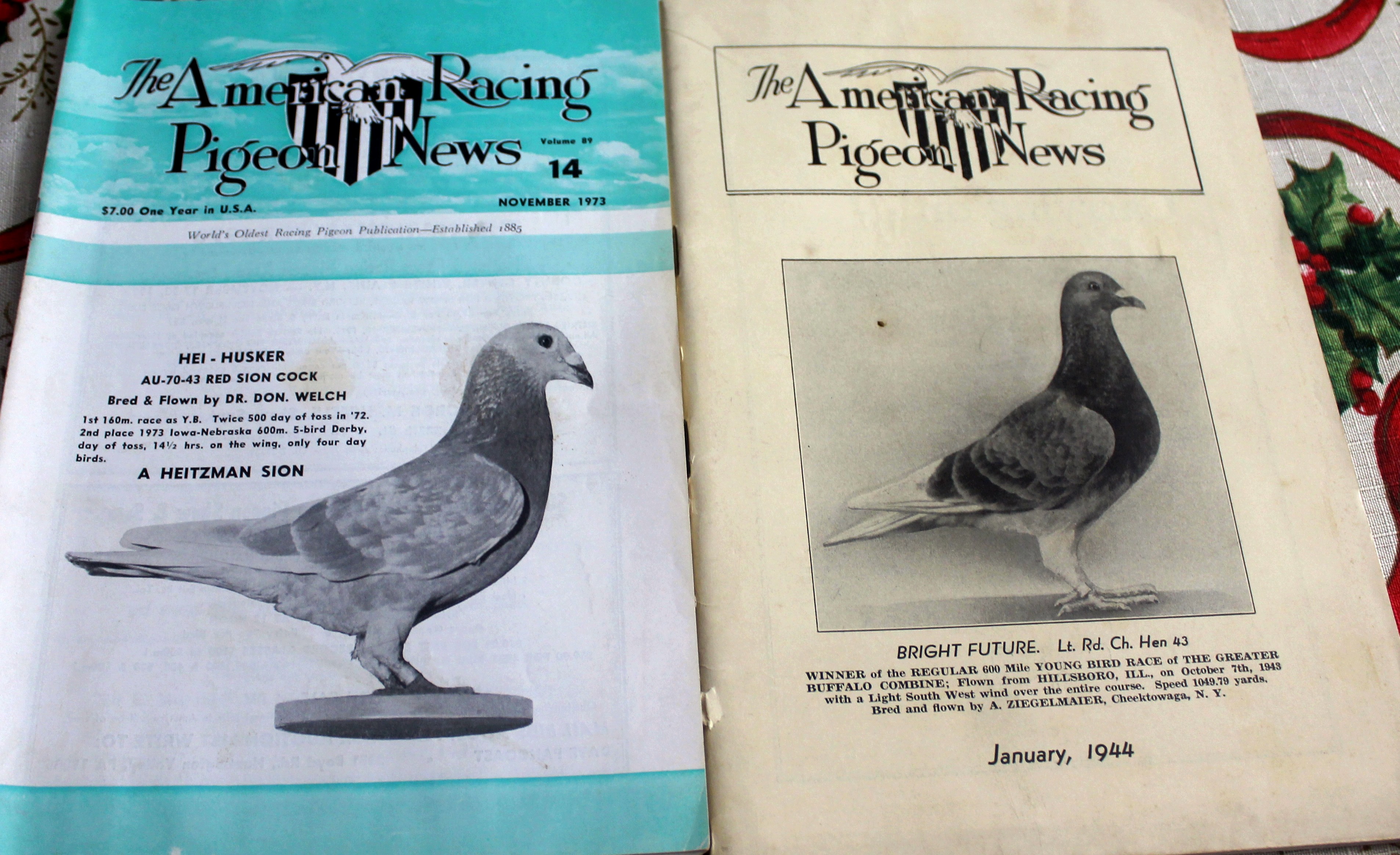 iPigeon.com - Racing Pigeon Auction