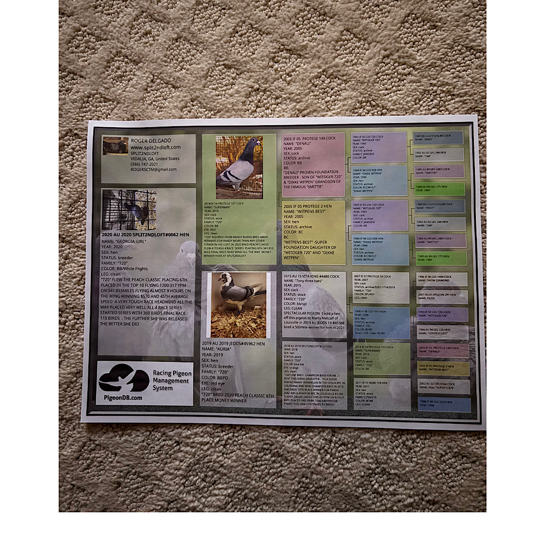 Preview Image 2