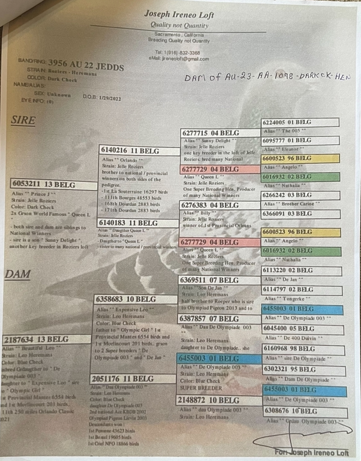 2025 Leo Hermans cock