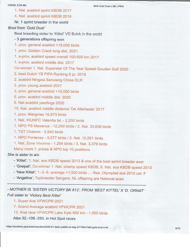 Preview Image 13