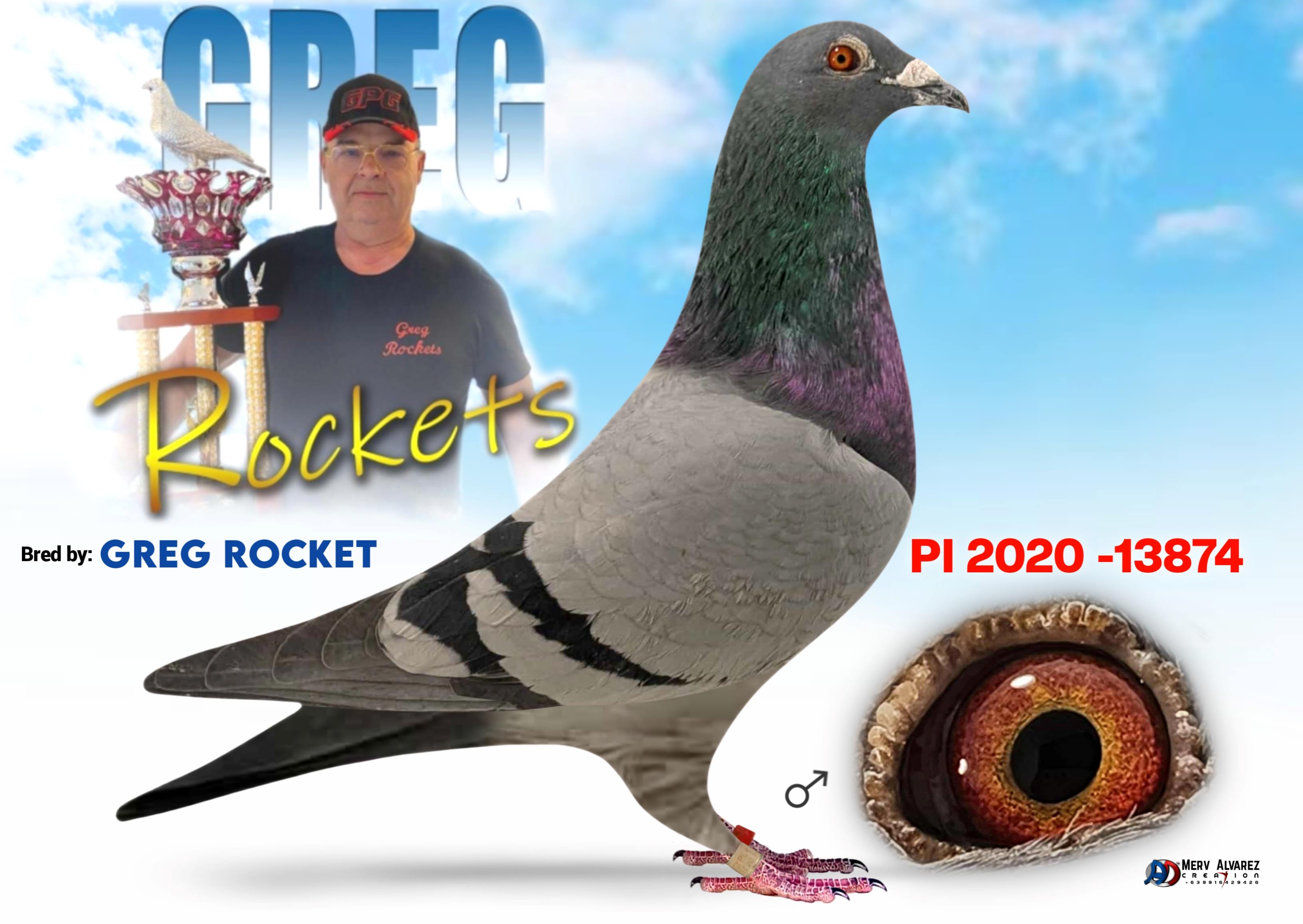 GREG ROCKETS