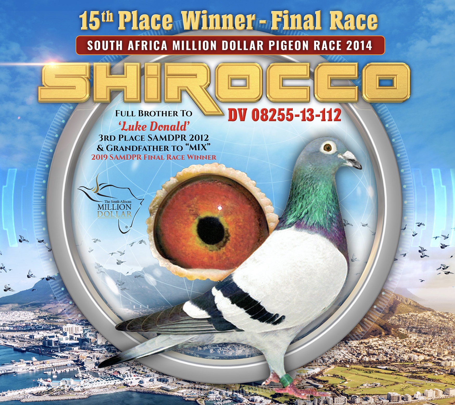 iPigeon.com - Racing Pigeon Auction