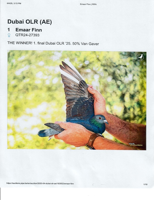 Preview Image 13