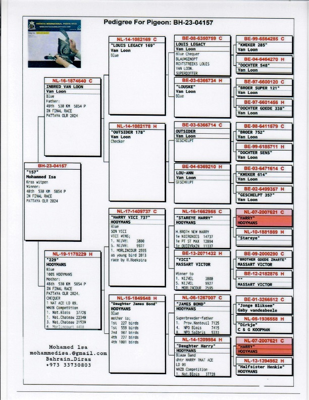 Preview Image 5