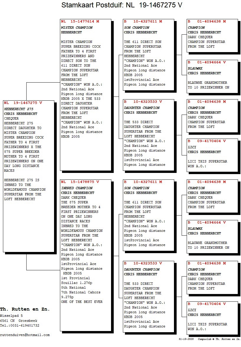 ipigeon-racing-pigeon-auction