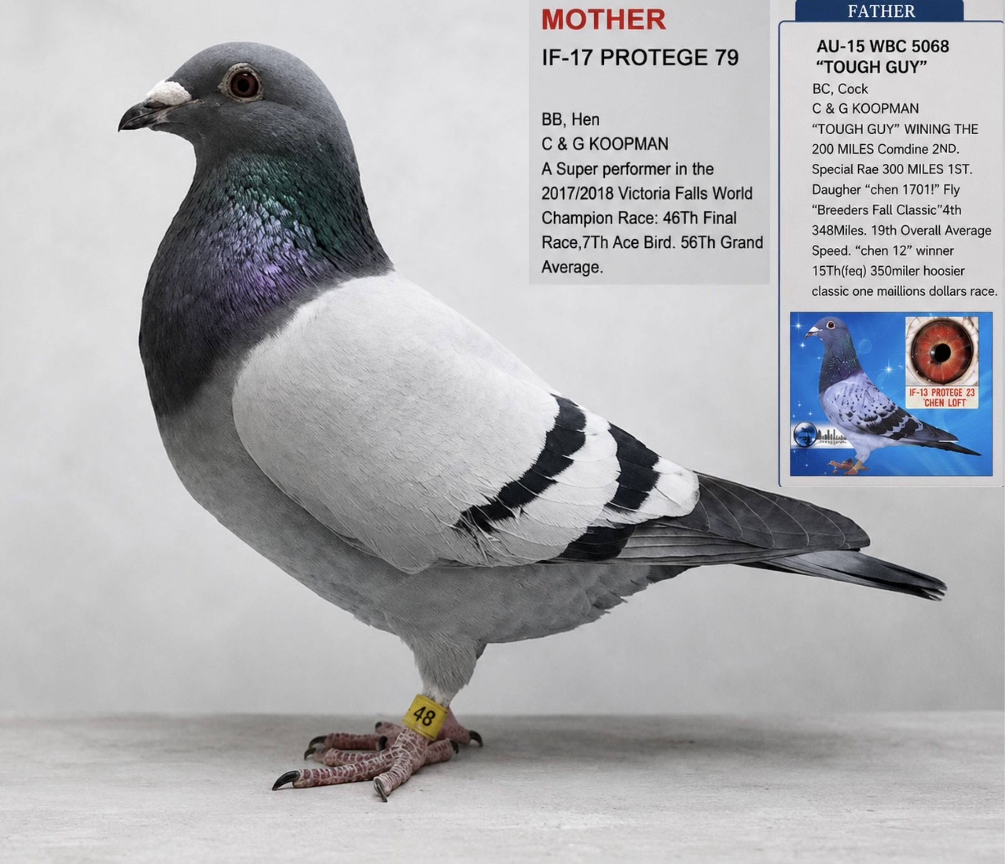 Breeder Reduction