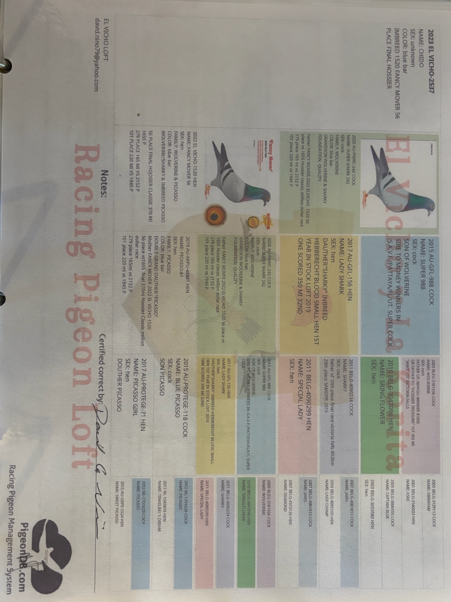 TRIO OF BLUE BAR HENS