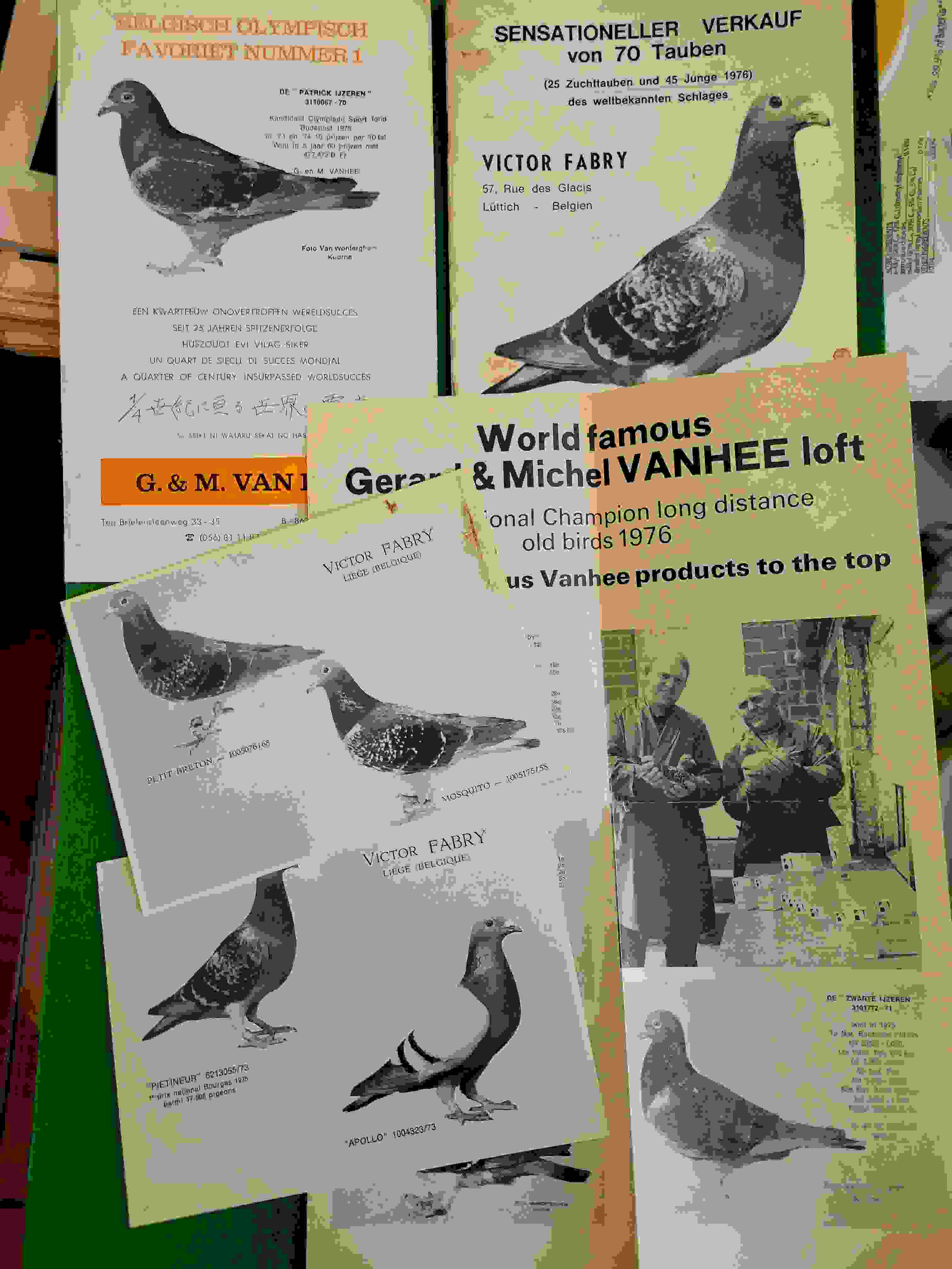 Fabry and Vanhee Collection 