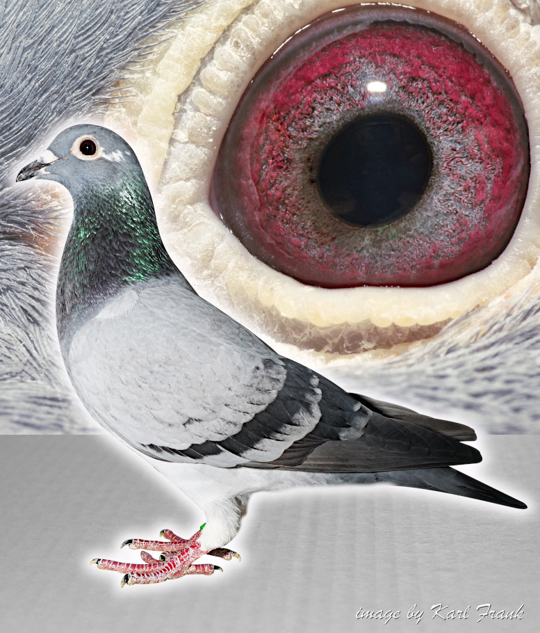 Preview Image 2