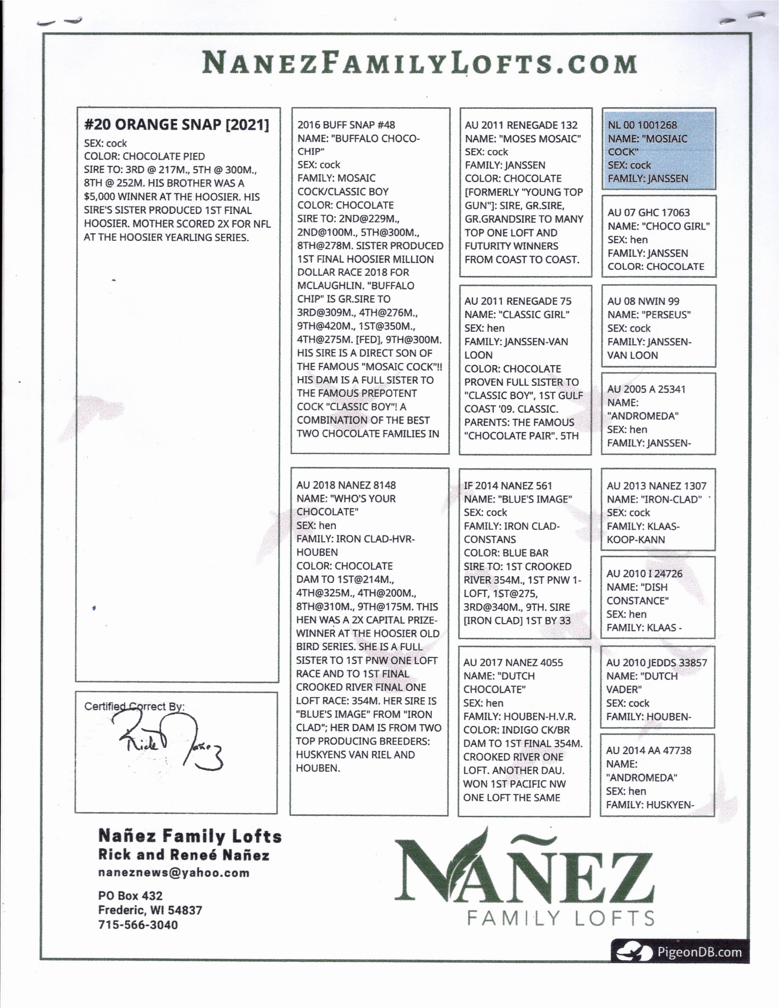 ipigeon-racing-pigeon-auction