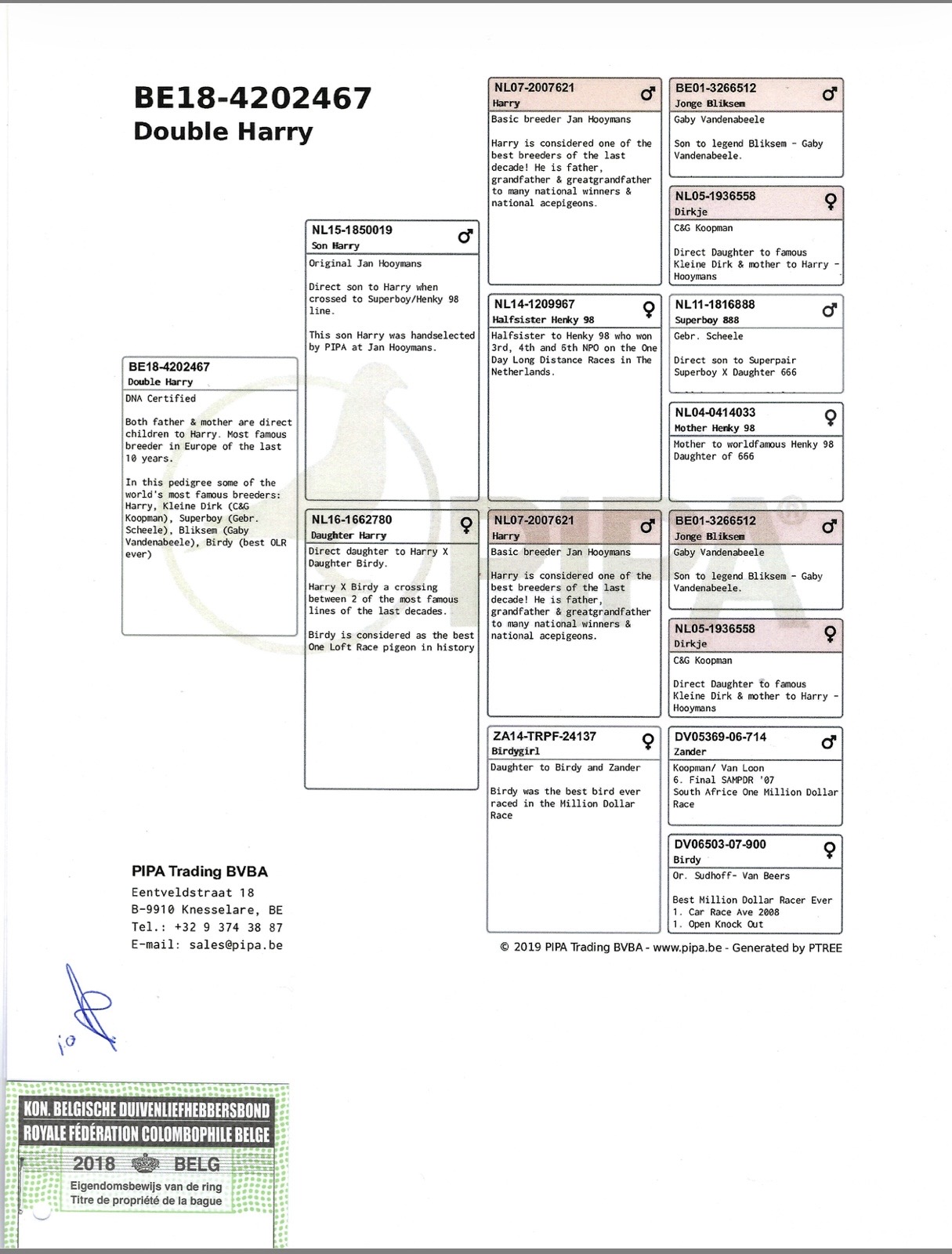 Preview Image 5