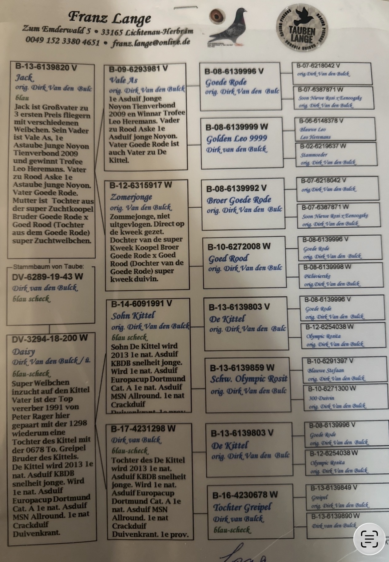 Inbred kittel , Imported hen 