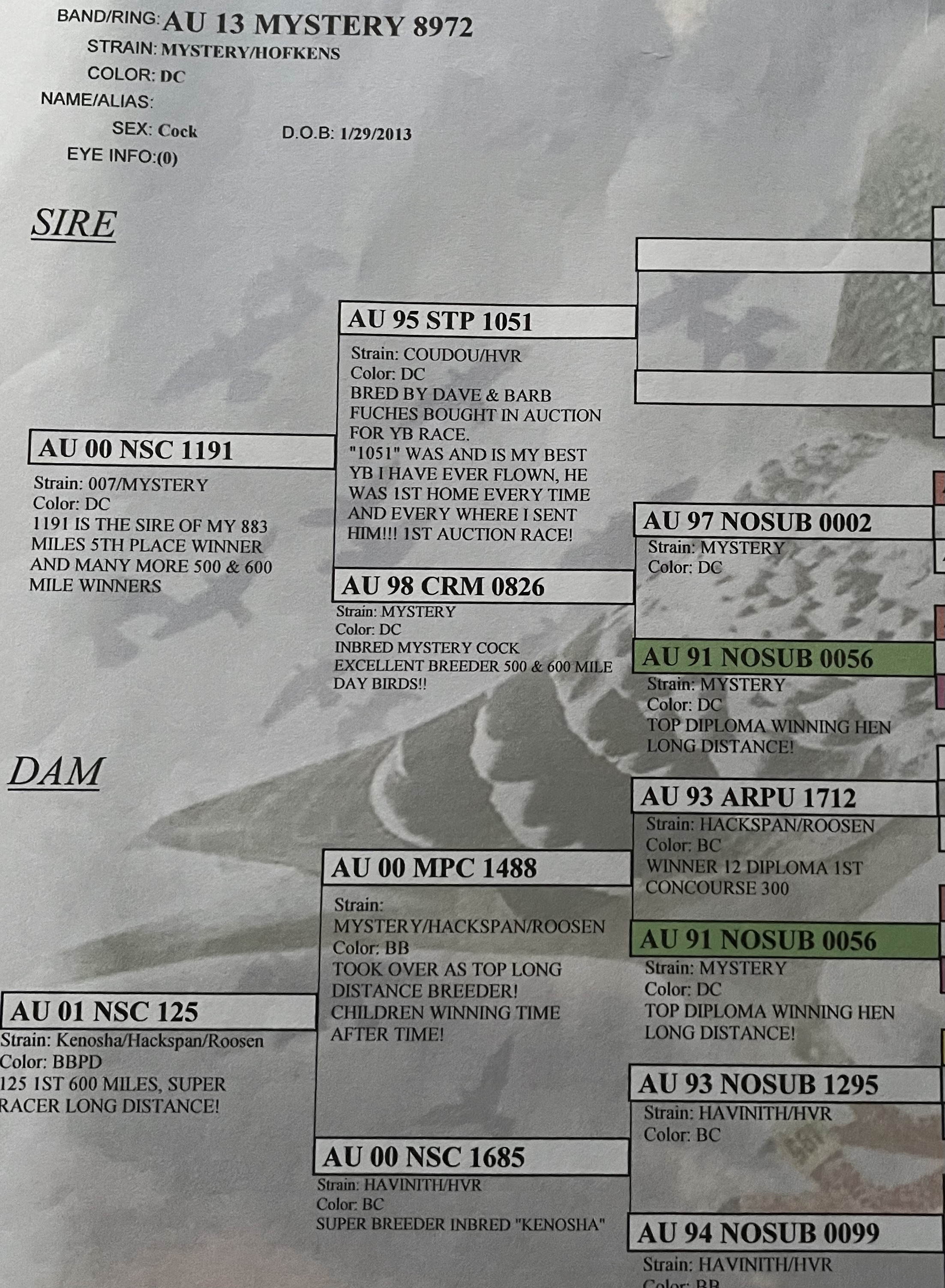 AU 2017 Lundloft 226 DCH