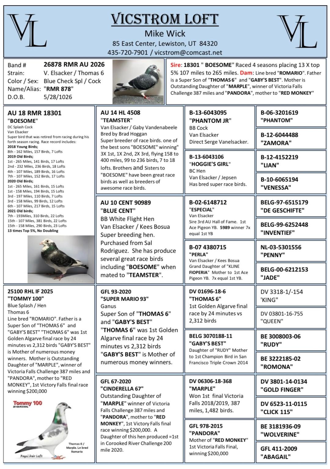 Preview Image 3