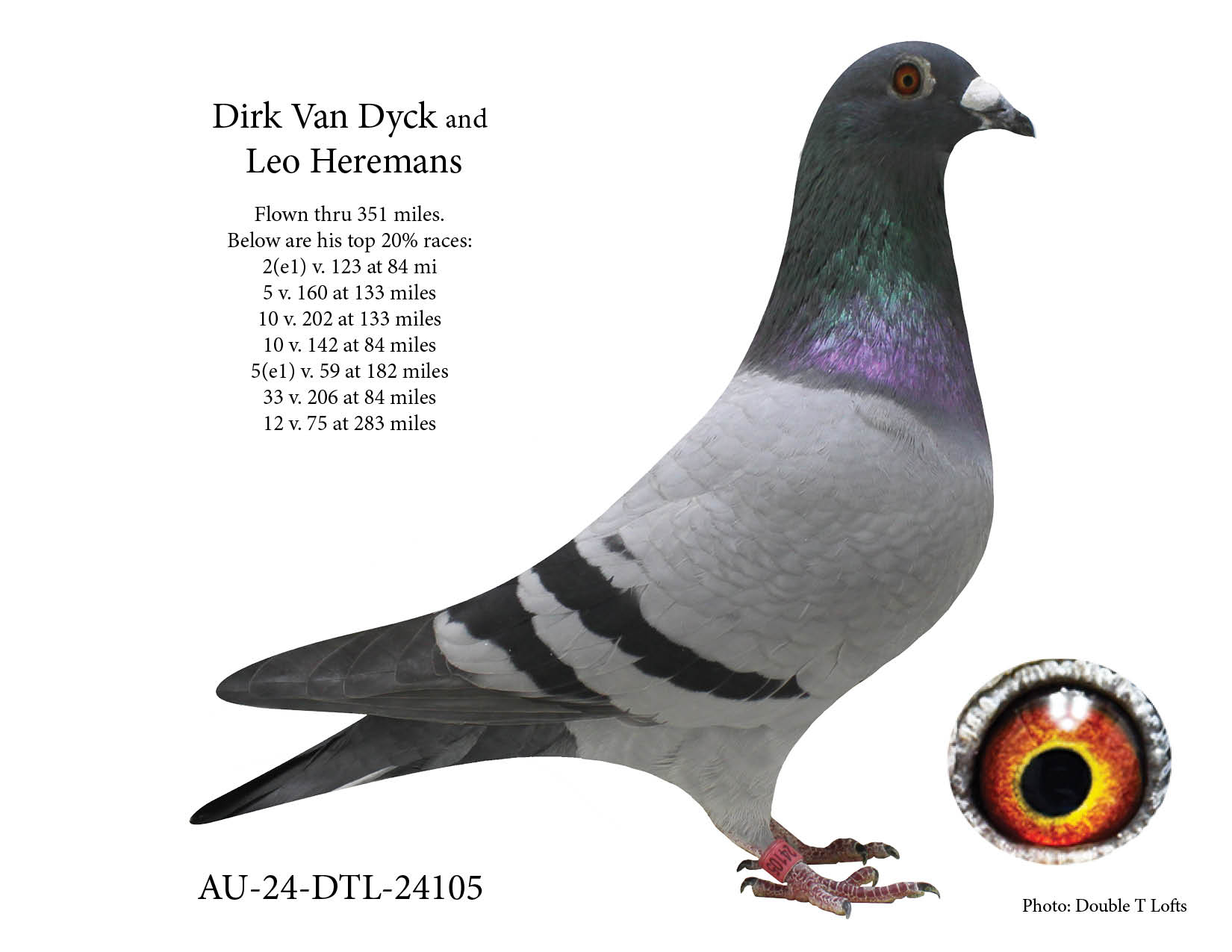 Inbred "Kannibaal" and "DiCaprio"