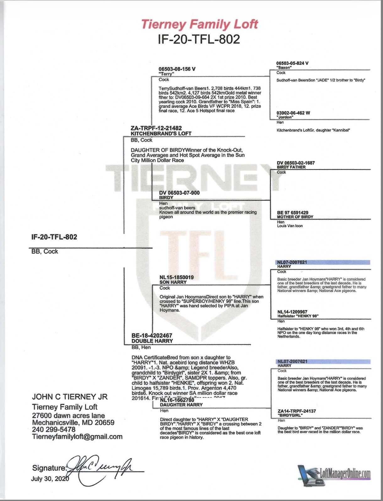 Preview Image 6