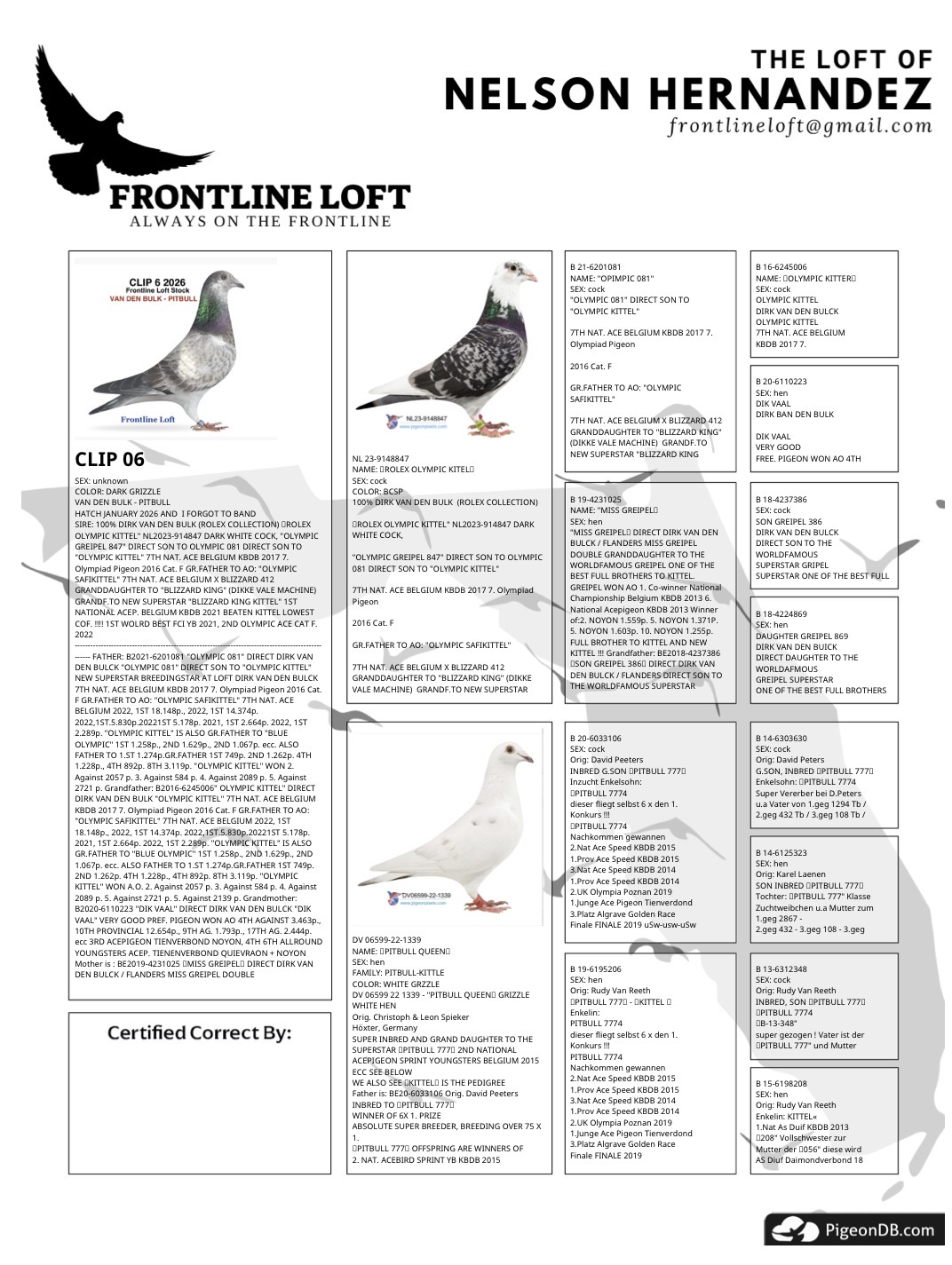 DIRK VAN DEN BULK - PITBULL