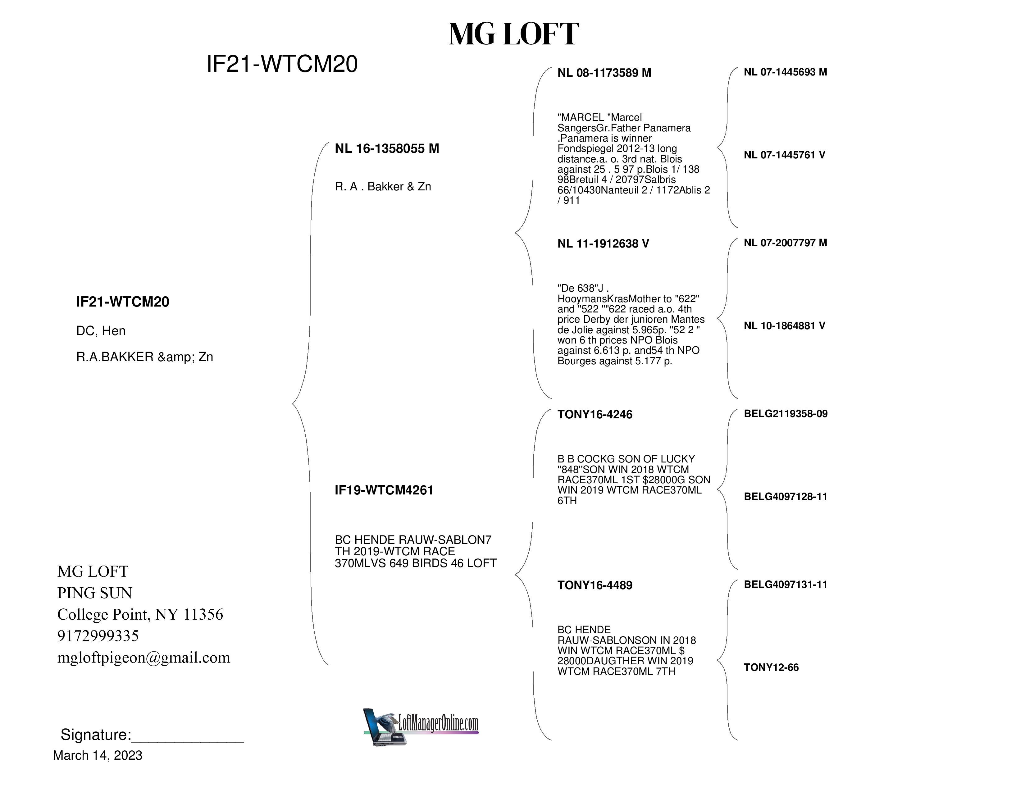 Preview Image 2