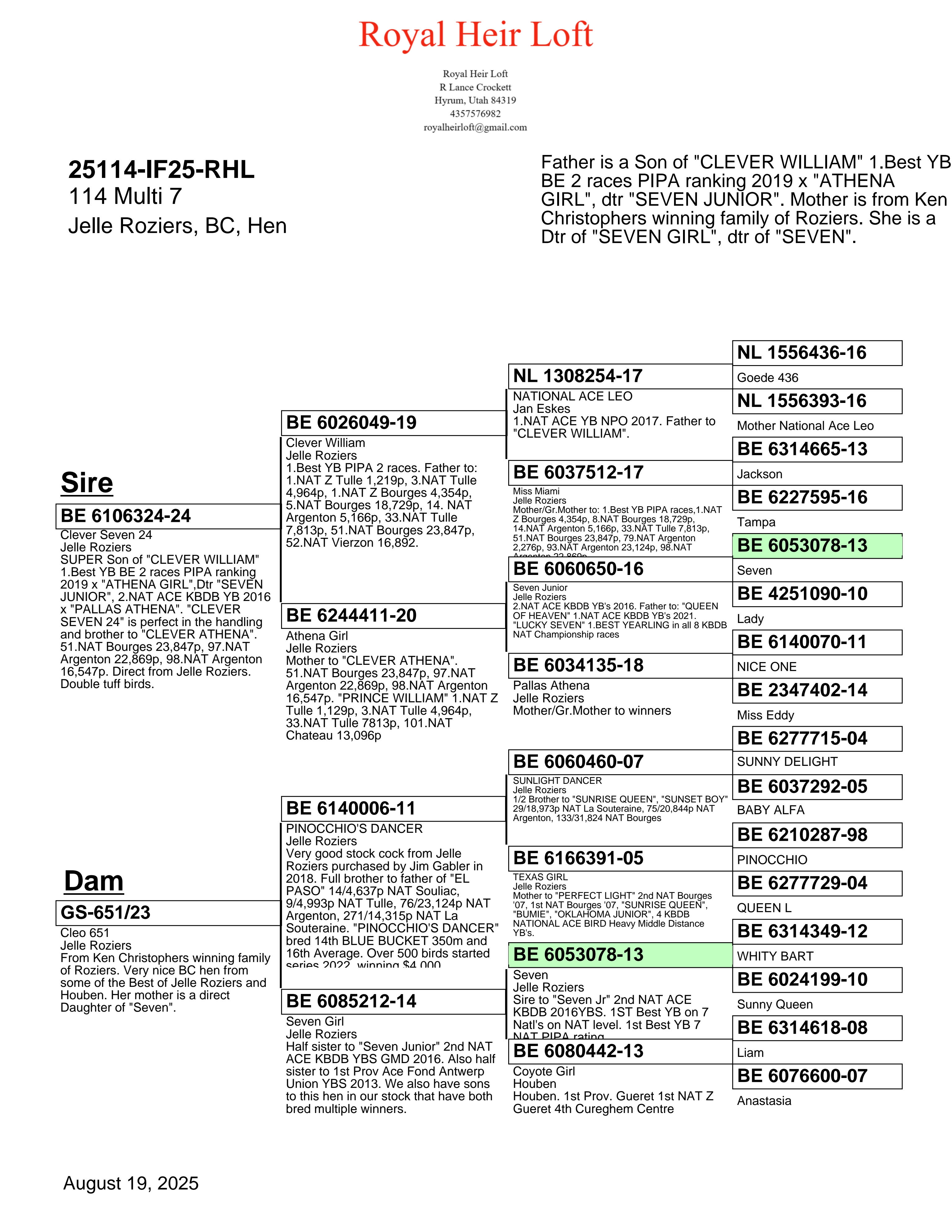 25114-IF25-RHL Blue Check Hen
