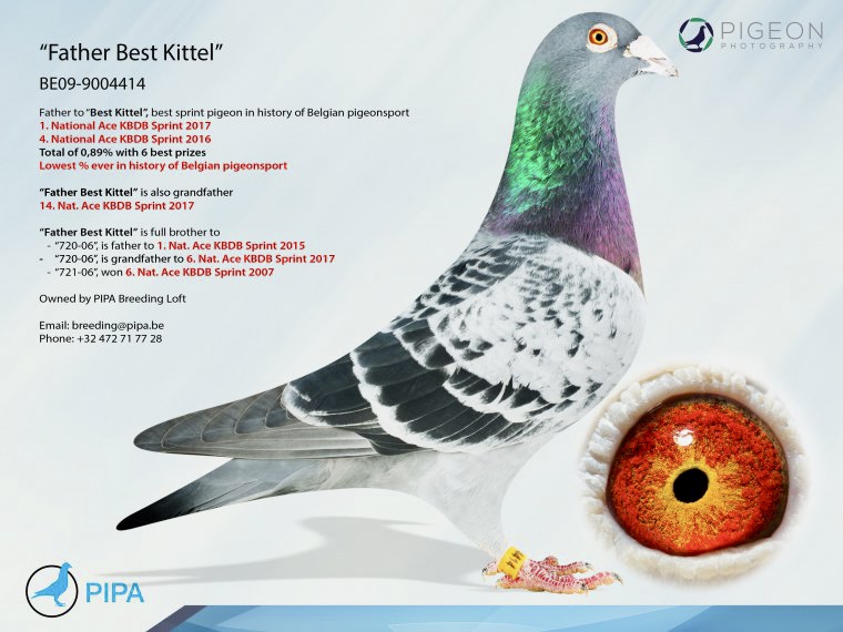 Grandson Best Kittel