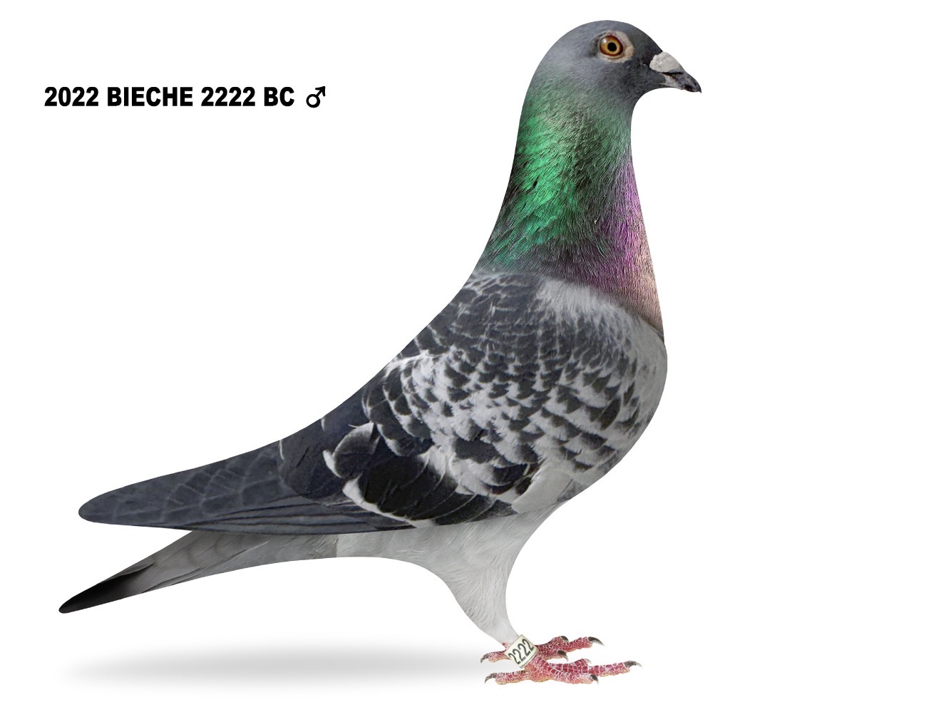 Sam Gabrielson & Jim Vender Heide