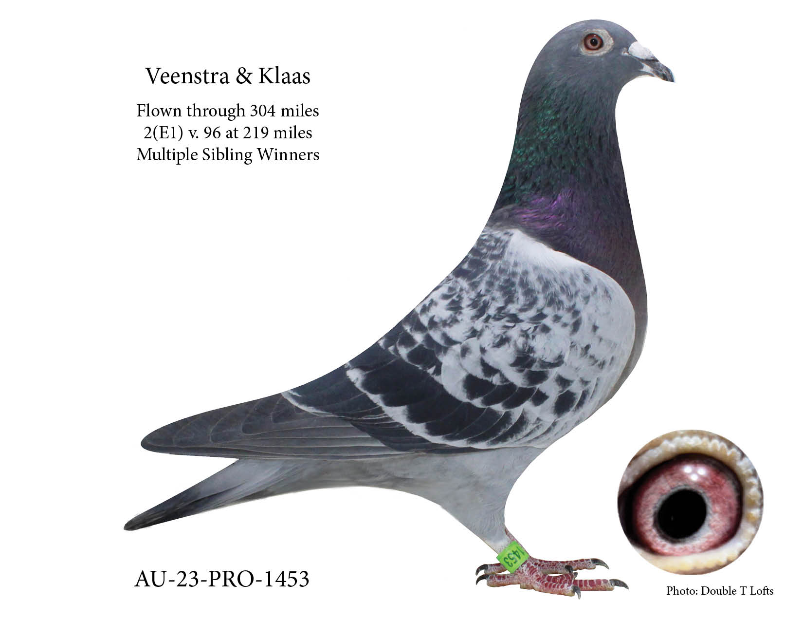 Veenstra with Klaas &  a little Hardy Kruger