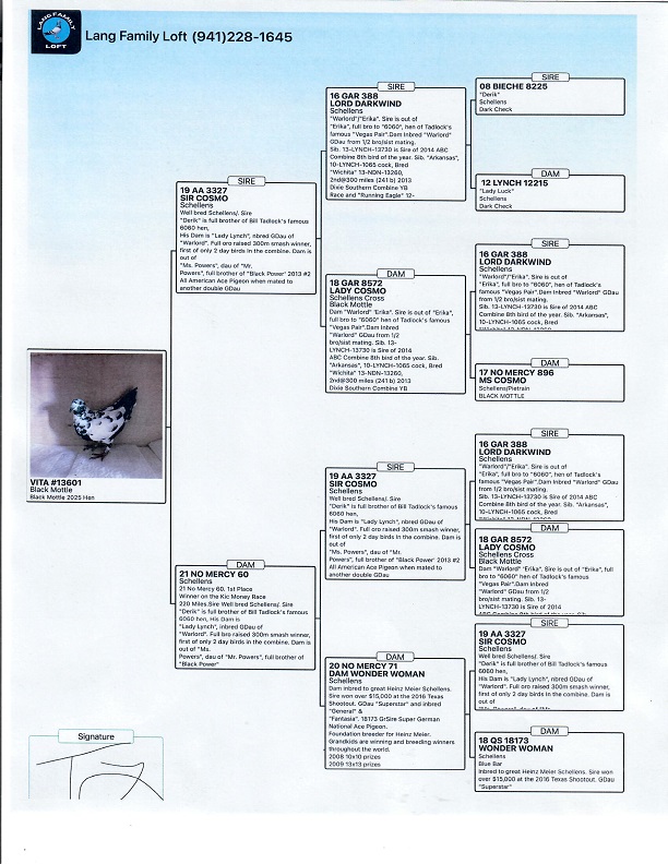Preview Image 4