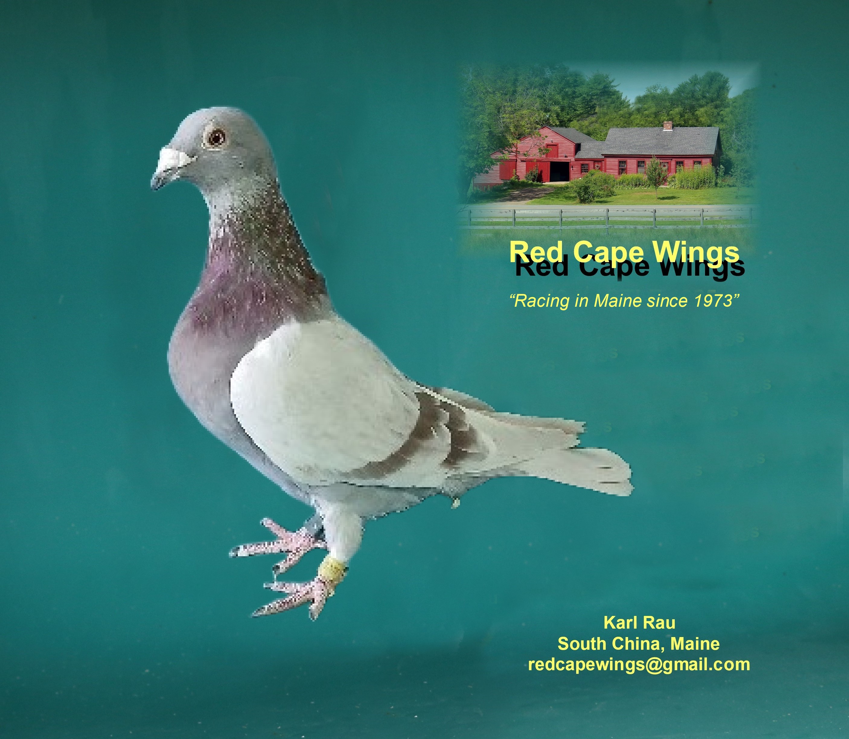 22 Chicago 6024 Red Bar Foundation quality hen