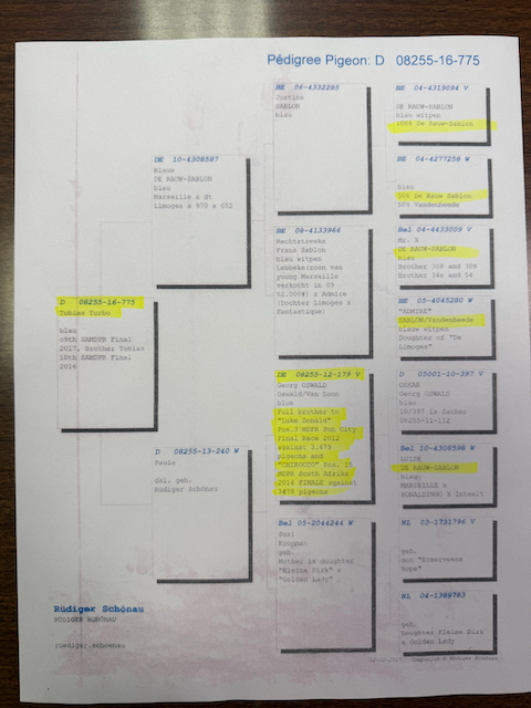 Preview Image 3