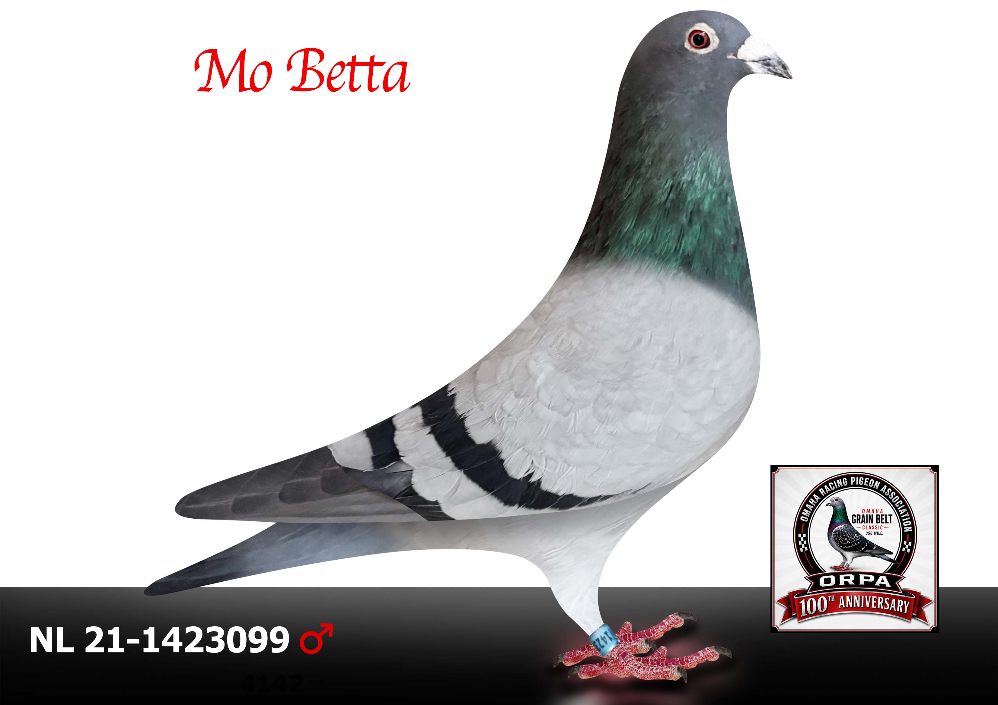 NL 21-1423099 Cock