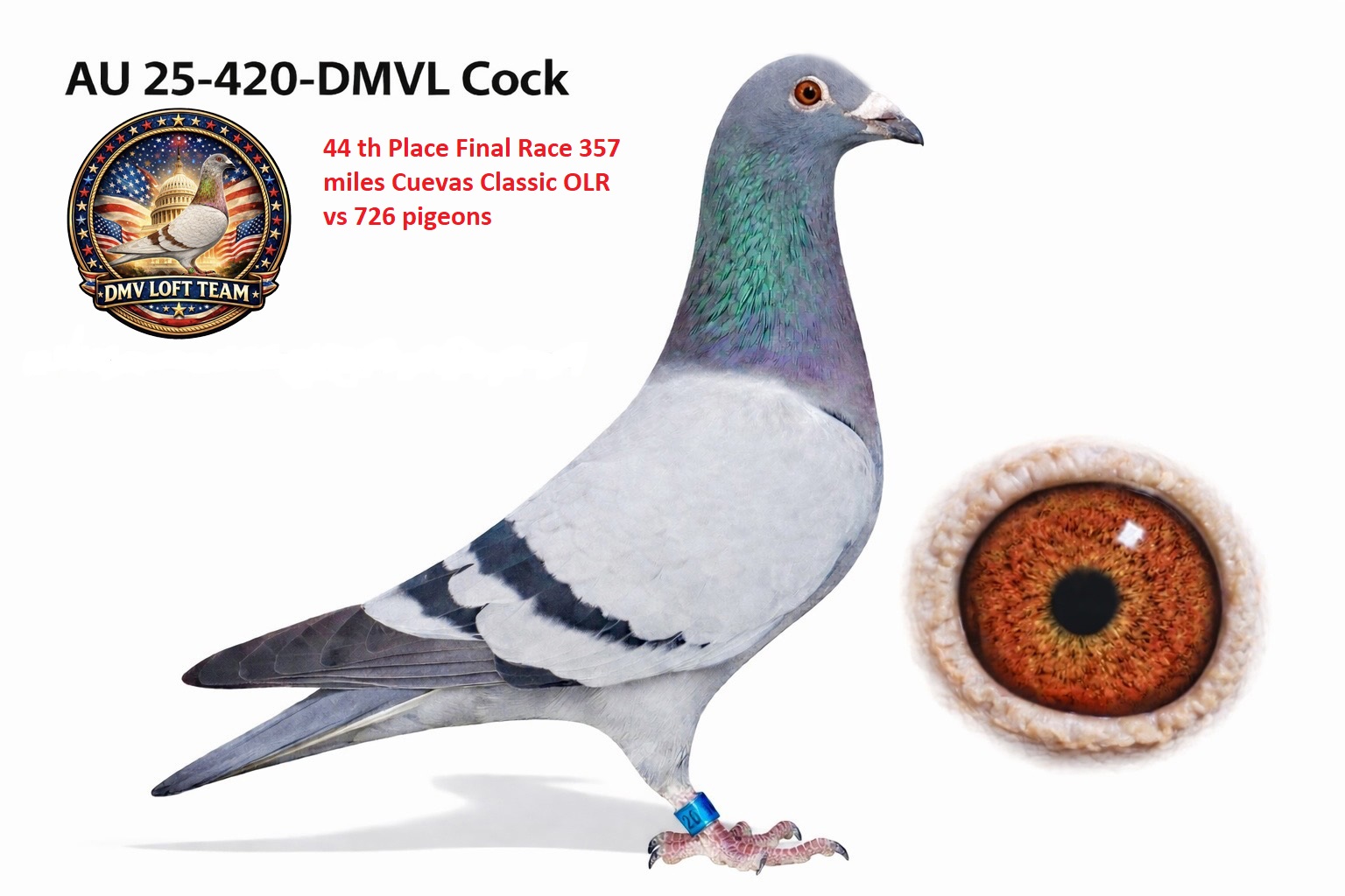 44th Place Final Race Cuevas Classic!!!